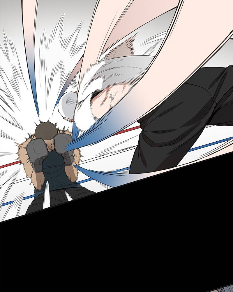 Read The Boxer ENGLISH Manga Online