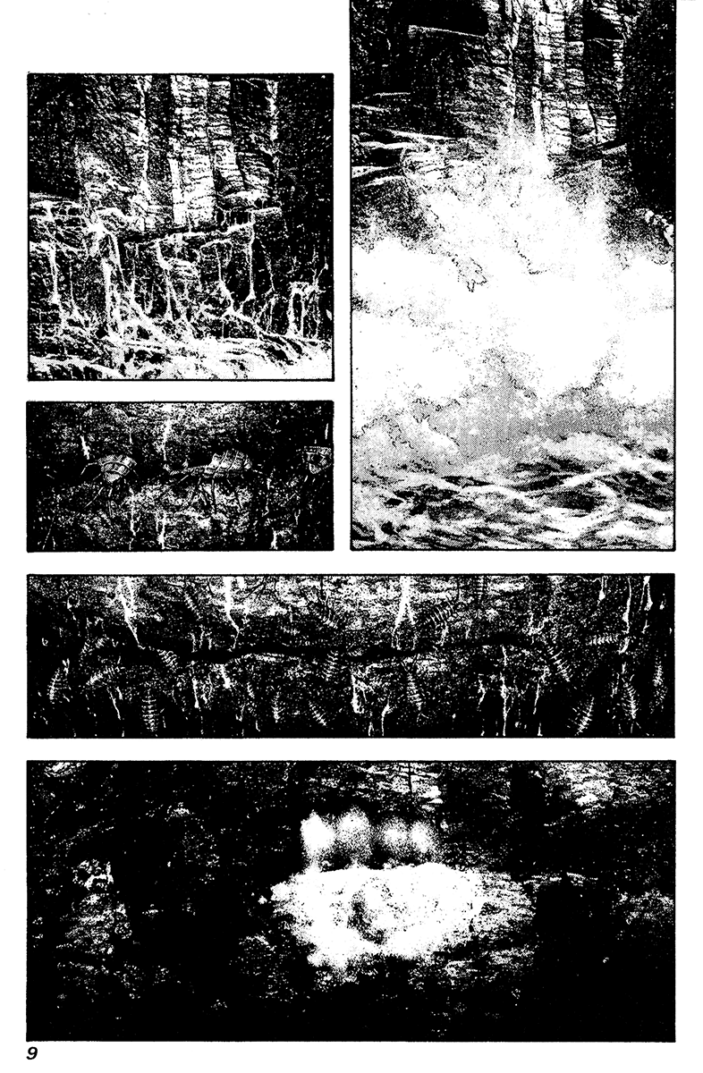 Read The Climber ENGLISH Manga Online