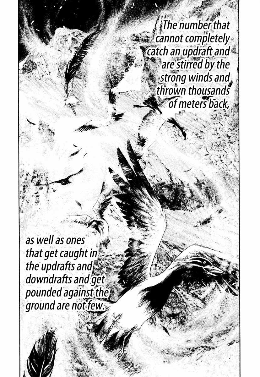 Read The Climber ENGLISH Manga Online