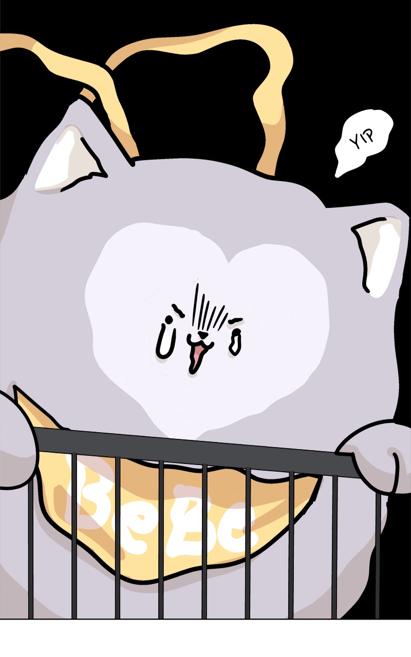 Read The Dog Diaries ENGLISH Manga Online