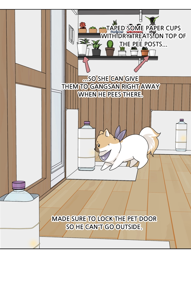 Read The Dog Diaries ENGLISH Manga Online