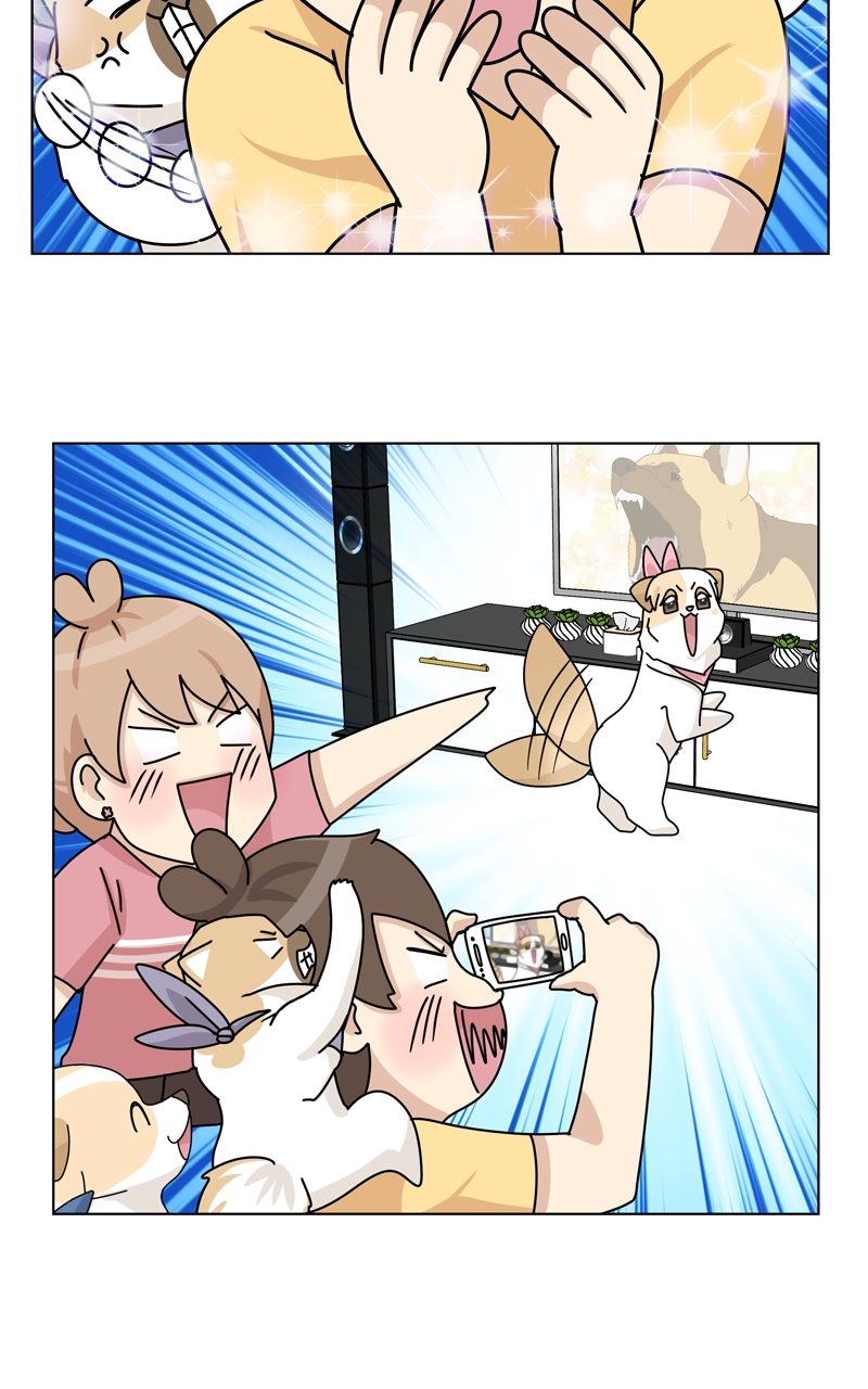 Read The Dog Diaries ENGLISH Manga Online