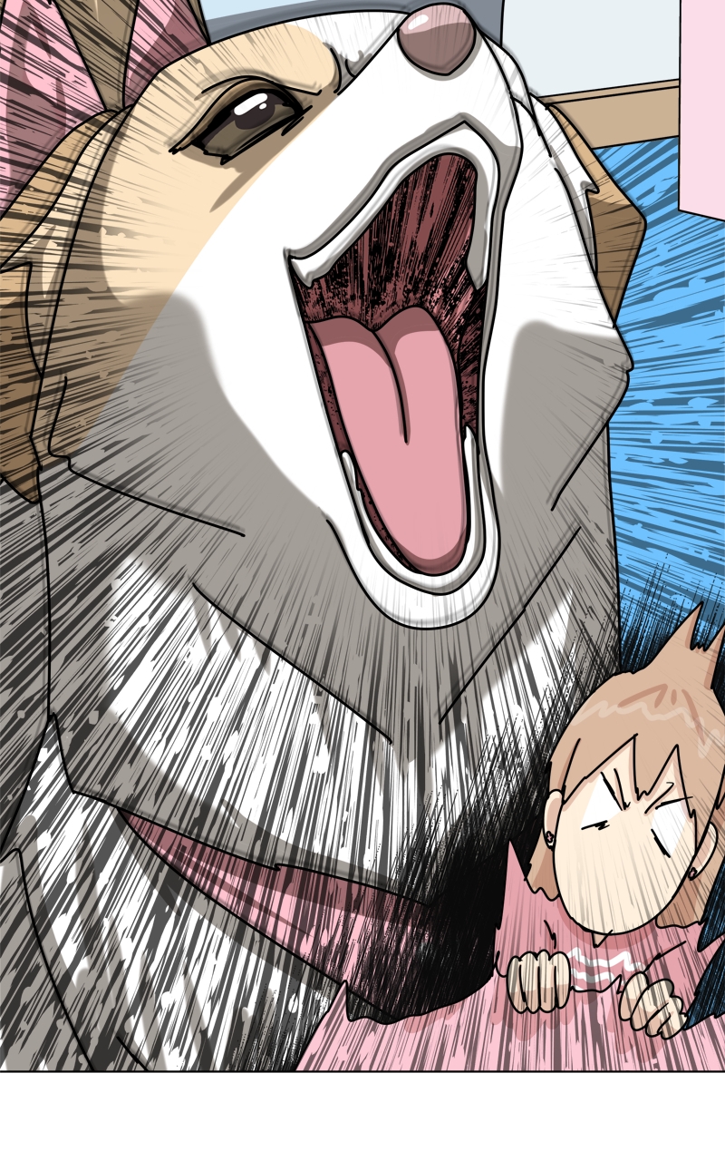 Read The Dog Diaries ENGLISH Manga Online