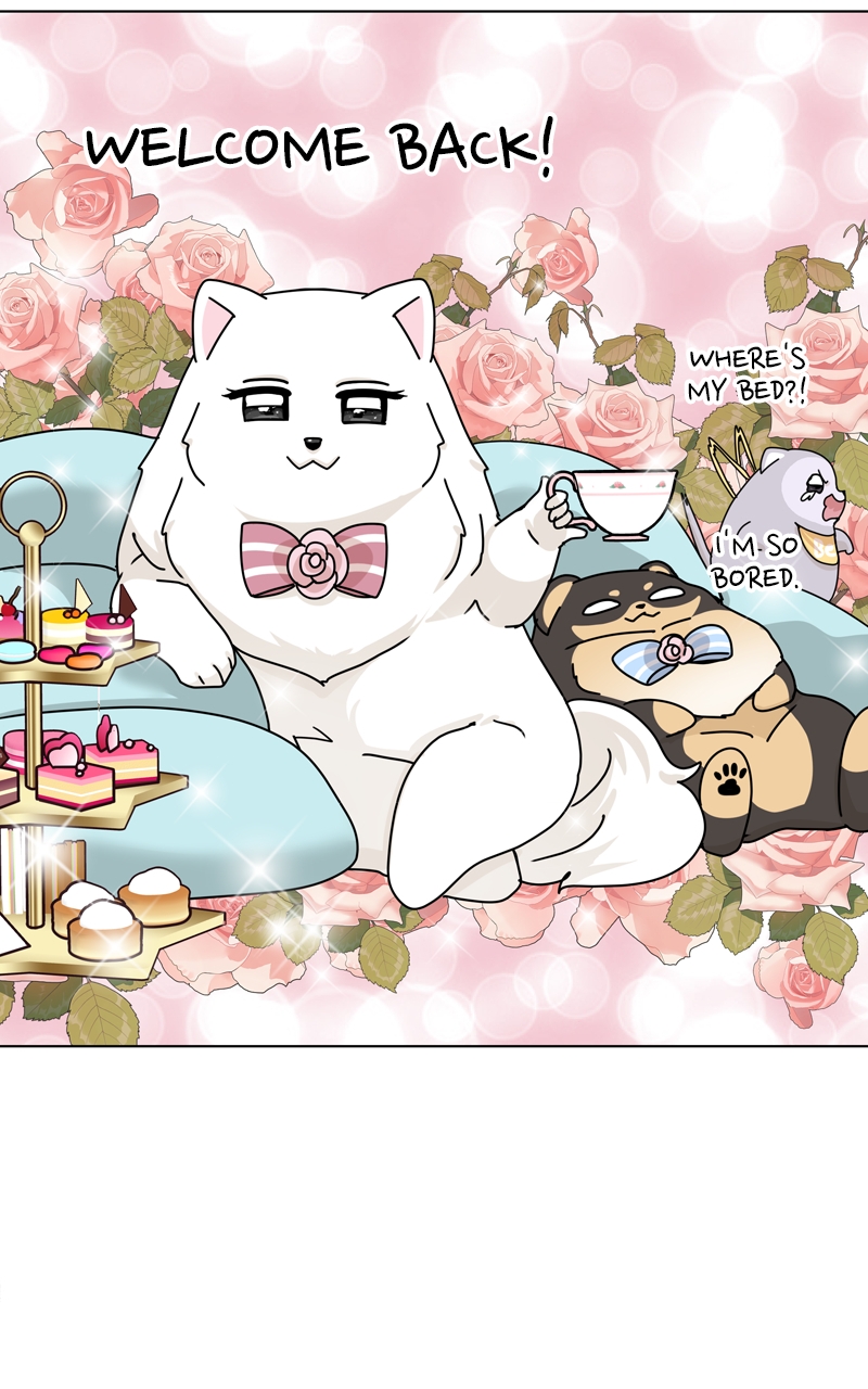 Read The Dog Diaries ENGLISH Manga Online