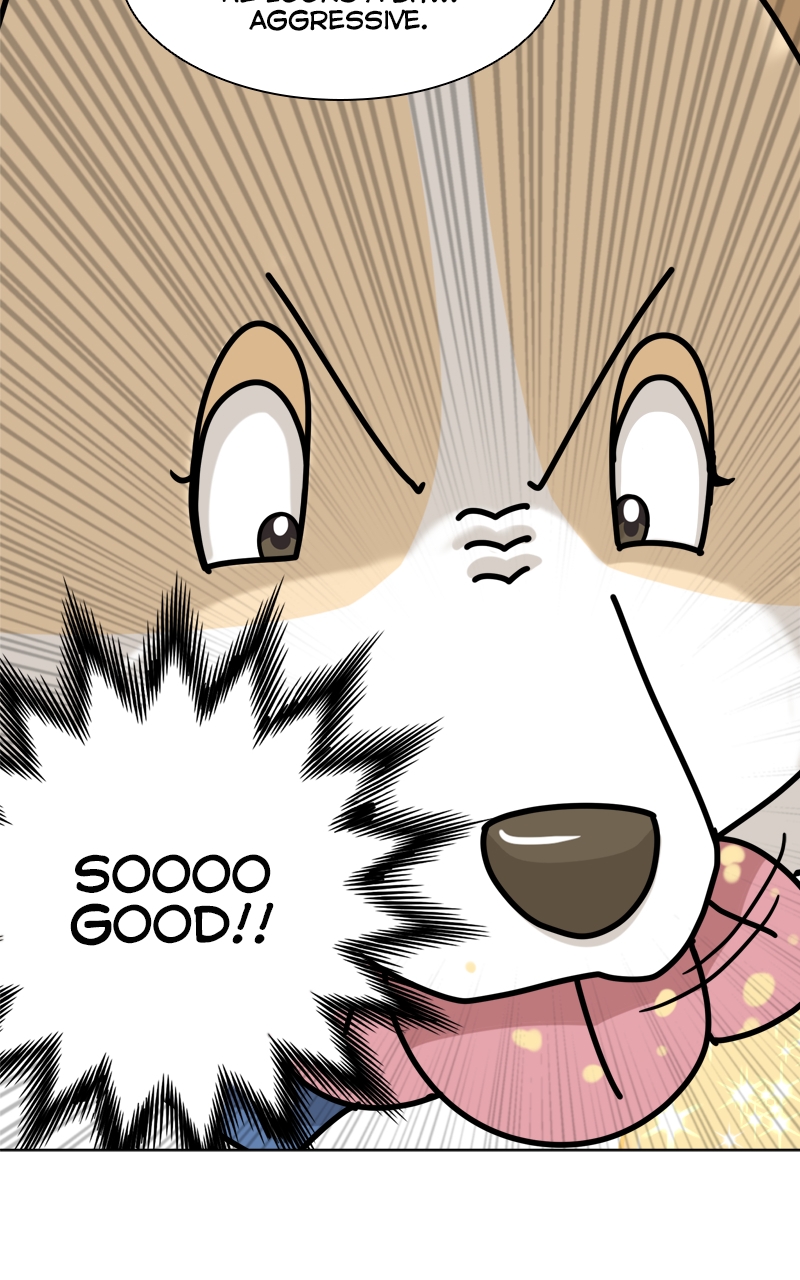 Read The Dog Diaries ENGLISH Manga Online