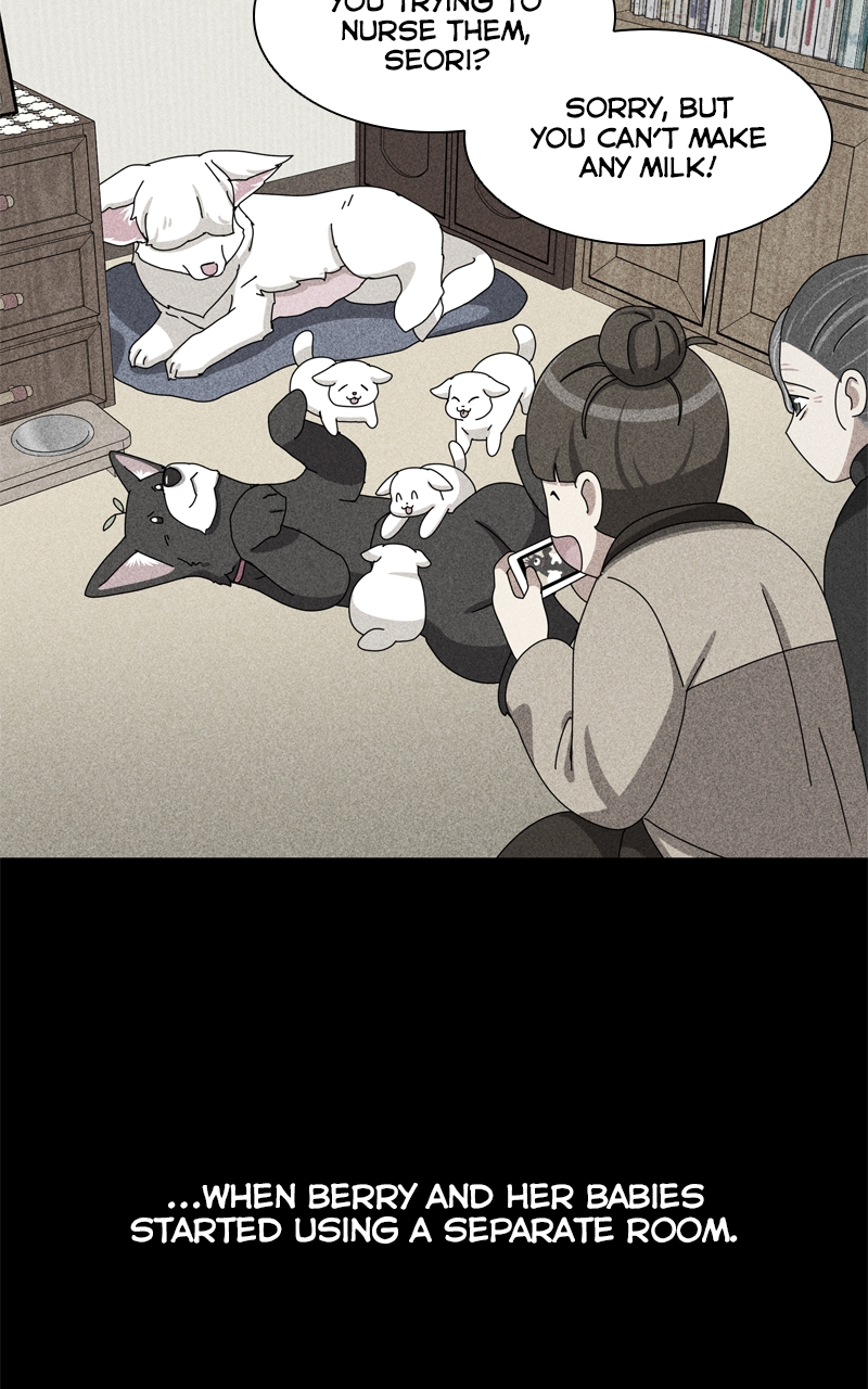 Read The Dog Diaries ENGLISH Manga Online