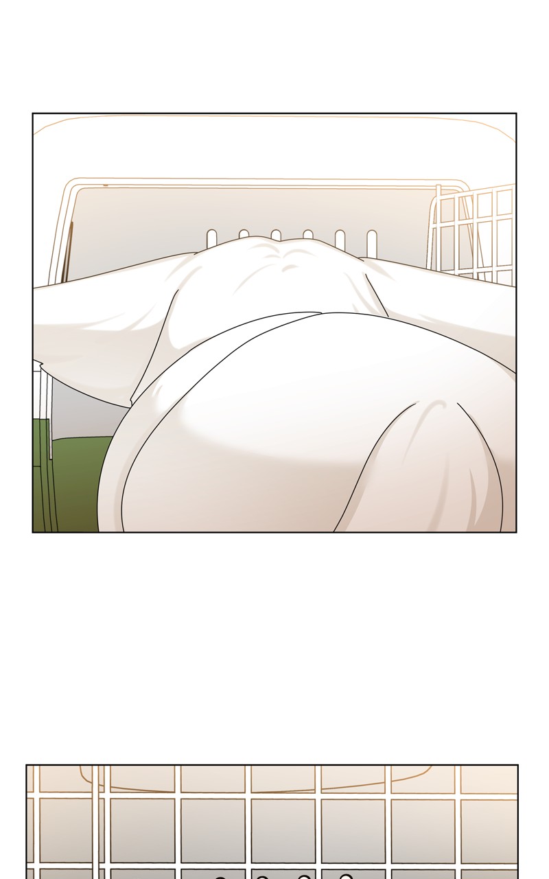 Read The Dog Diaries ENGLISH Manga Online