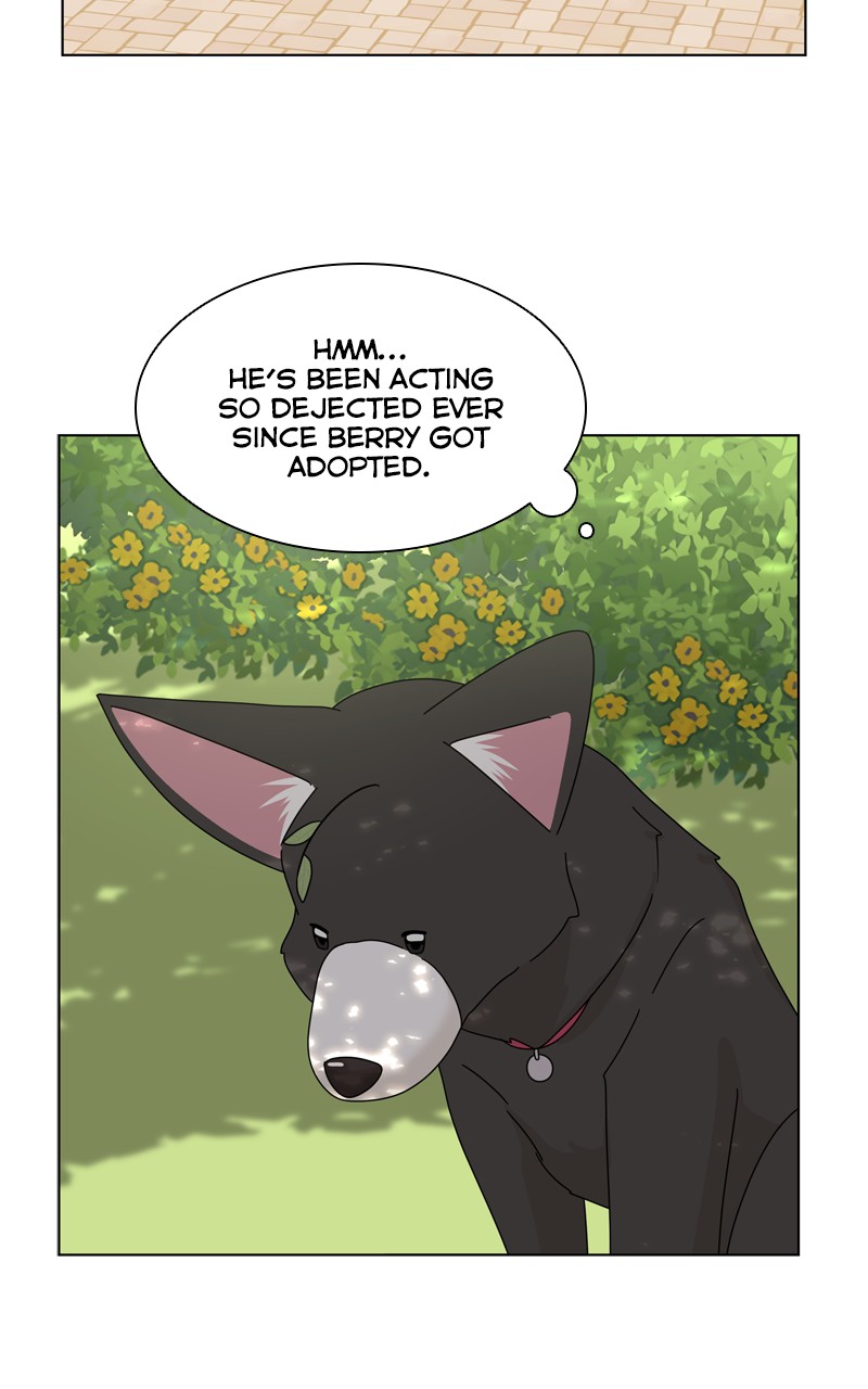 Read The Dog Diaries ENGLISH Manga Online