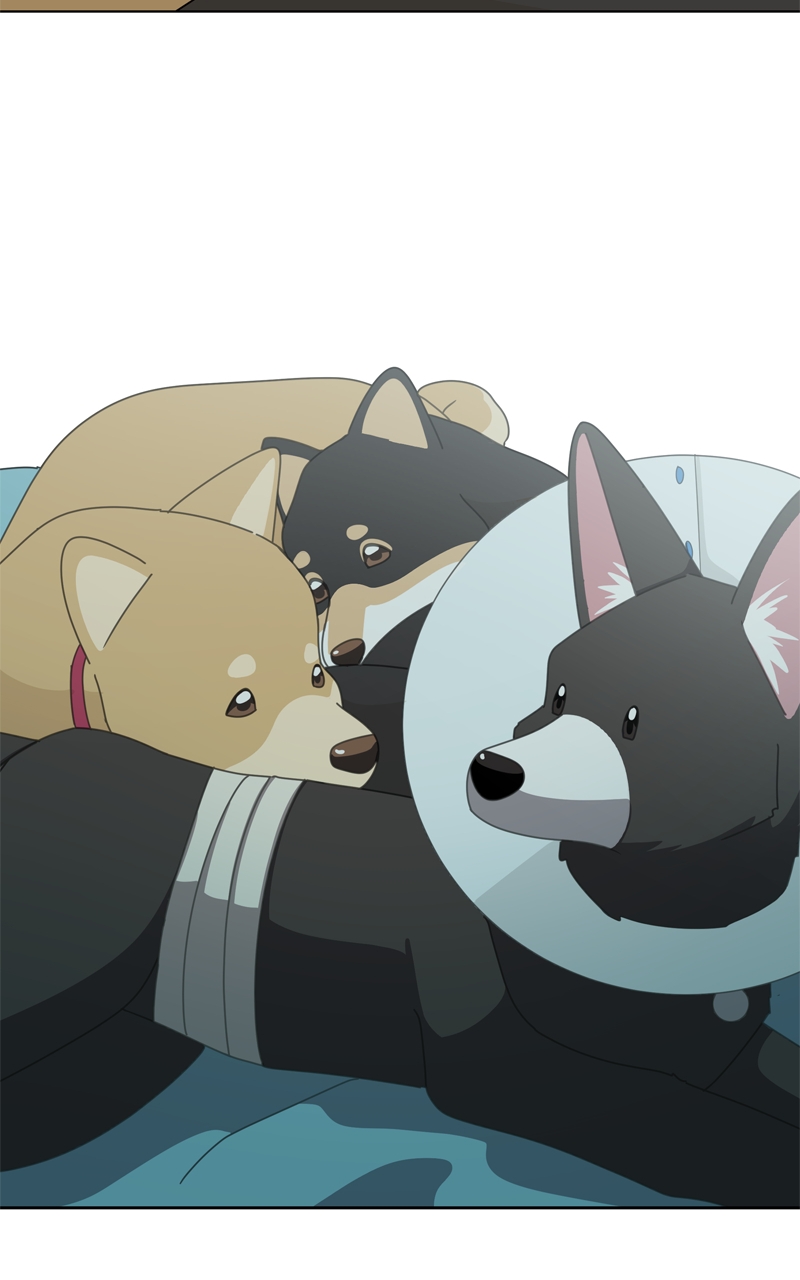 Read The Dog Diaries ENGLISH Manga Online