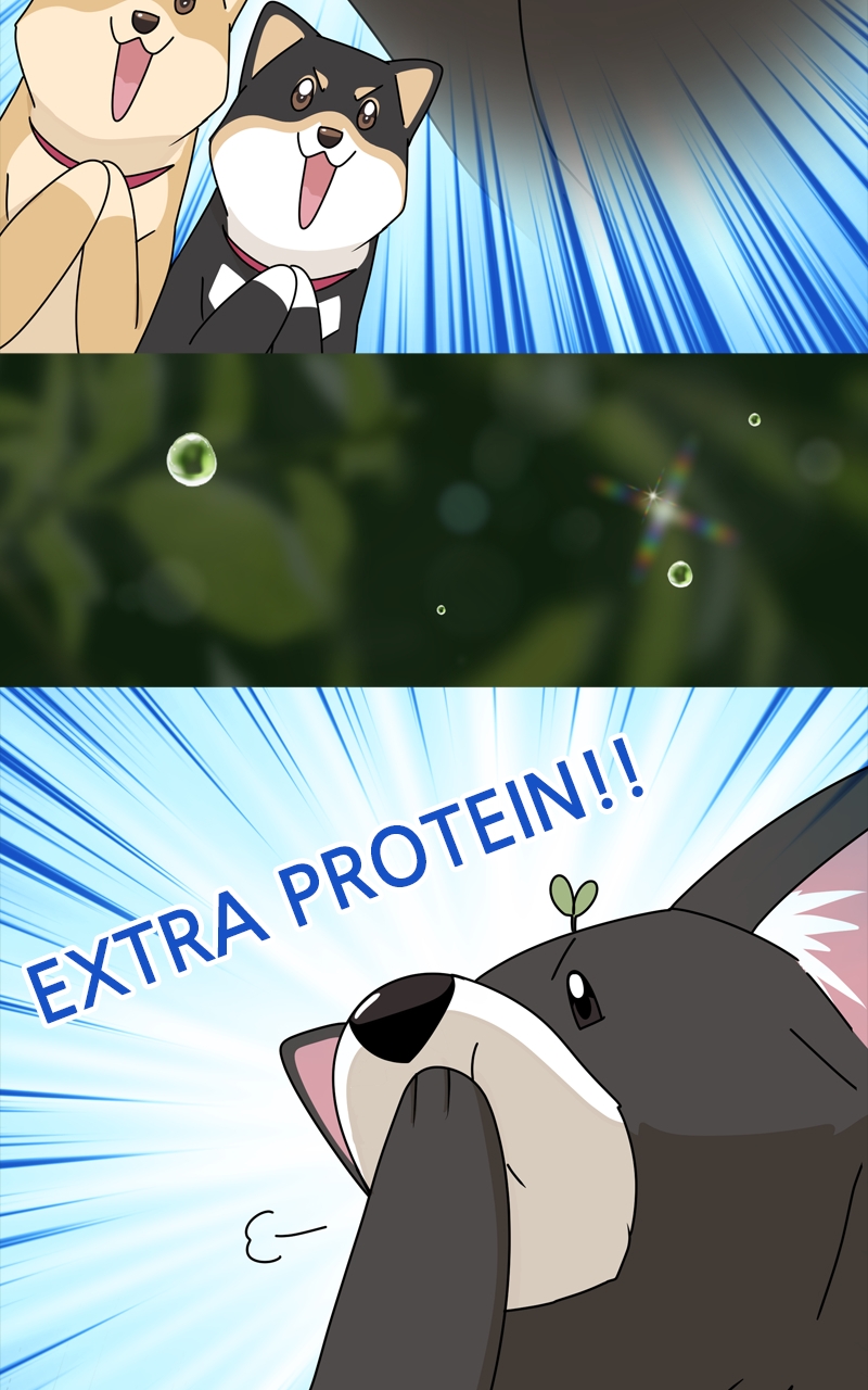 Read The Dog Diaries ENGLISH Manga Online