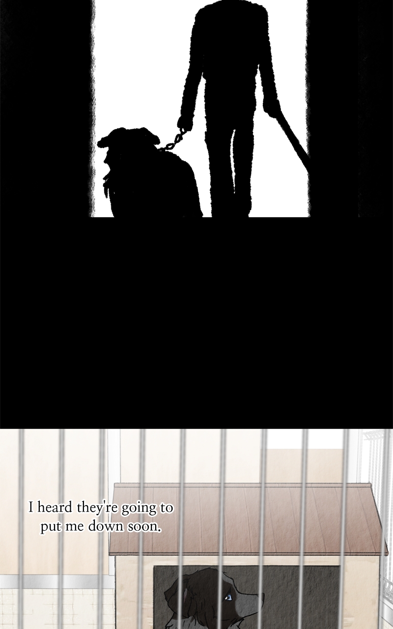 Read The Dog Diaries ENGLISH Manga Online