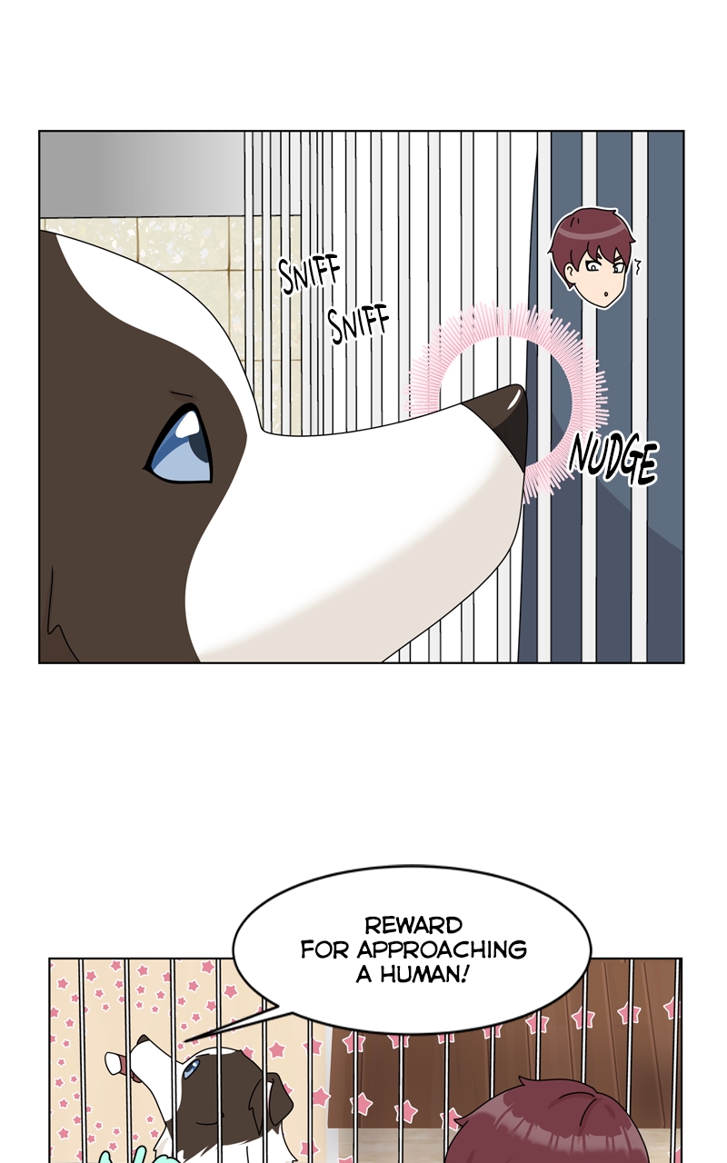 Read The Dog Diaries ENGLISH Manga Online