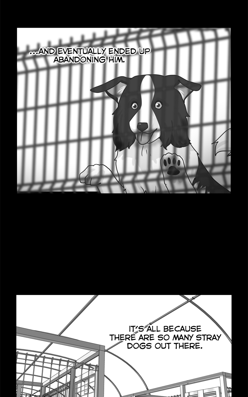 Read The Dog Diaries ENGLISH Manga Online