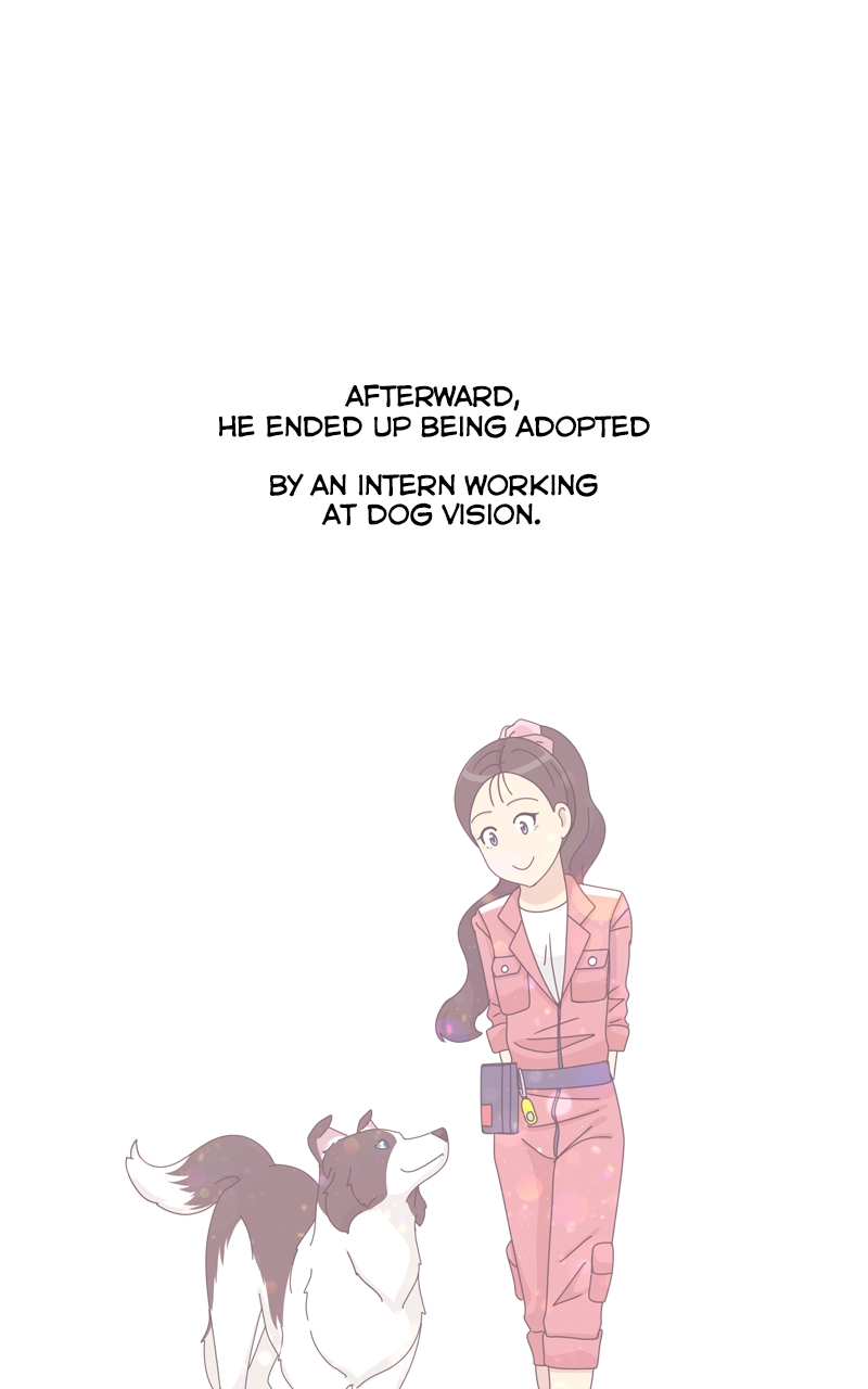 Read The Dog Diaries ENGLISH Manga Online