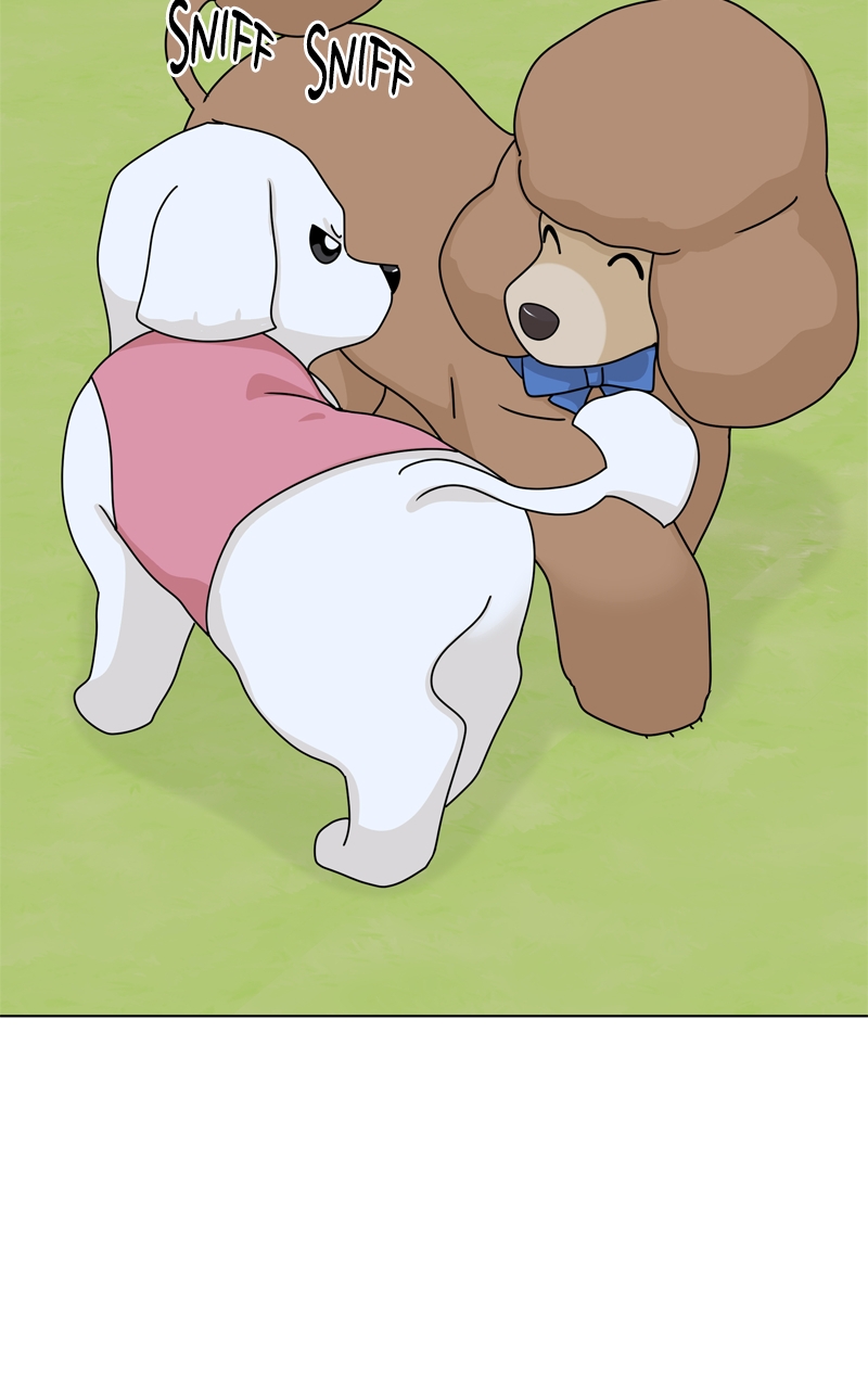 Read The Dog Diaries ENGLISH Manga Online