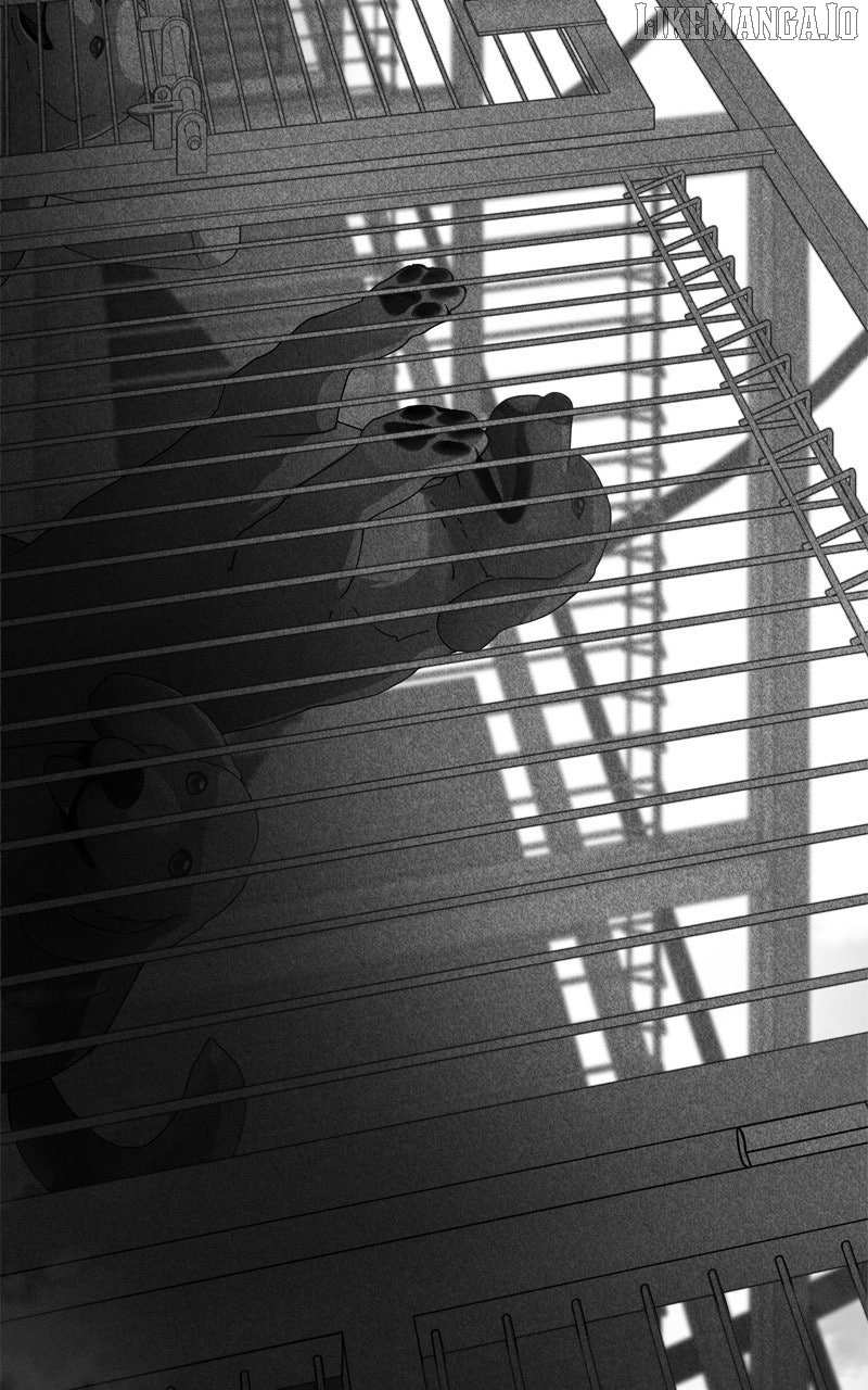 Read The Dog Diaries ENGLISH Manga Online