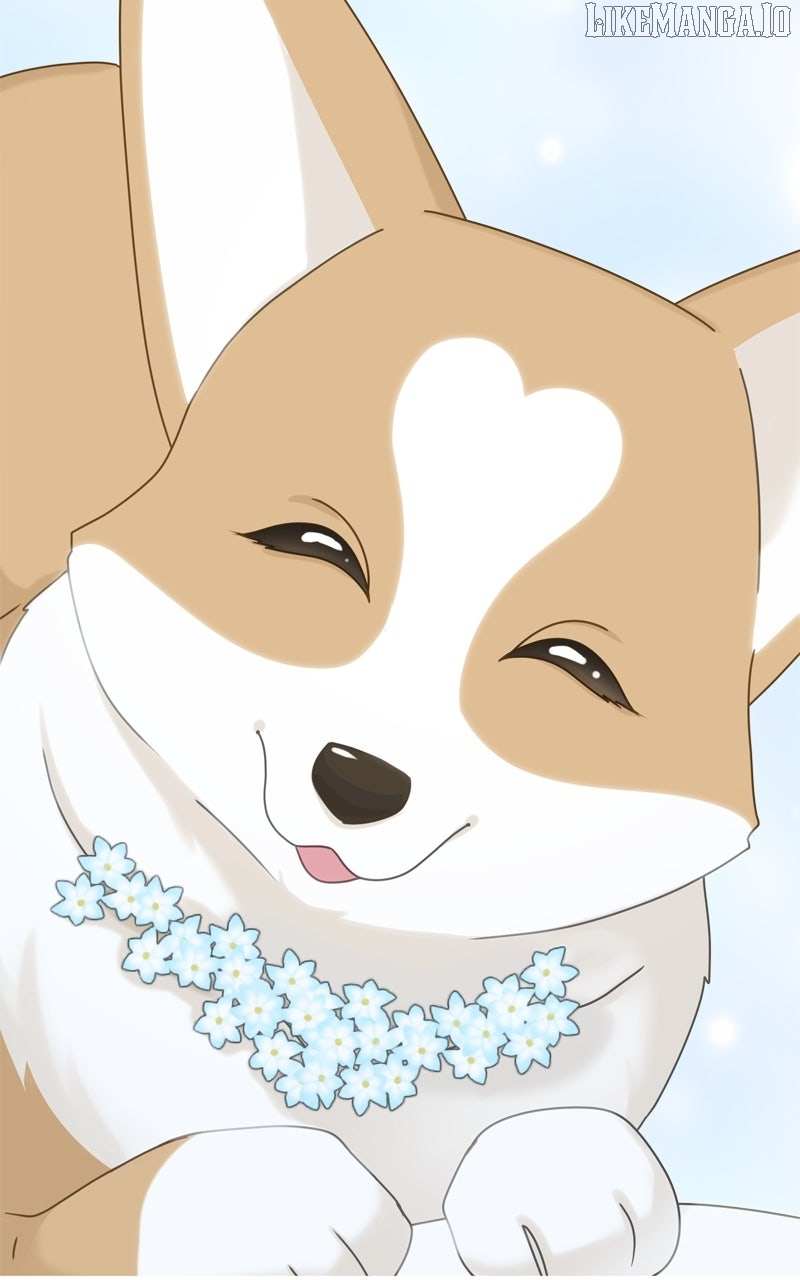 Read The Dog Diaries ENGLISH Manga Online