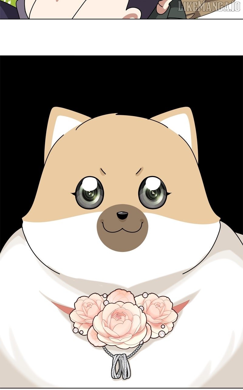 Read The Dog Diaries ENGLISH Manga Online