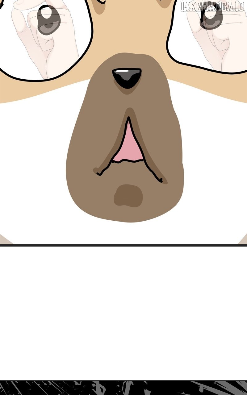 Read The Dog Diaries ENGLISH Manga Online