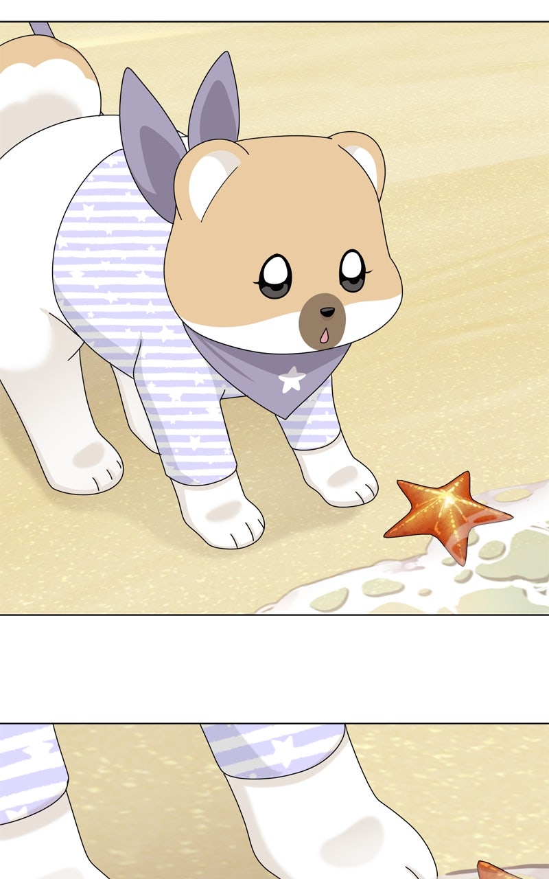 Read The Dog Diaries ENGLISH Manga Online