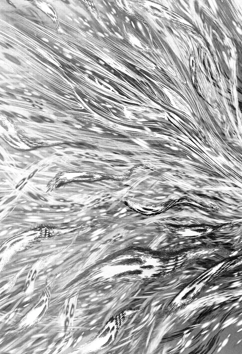 Read The Elusive Samurai ENGLISH Manga Online