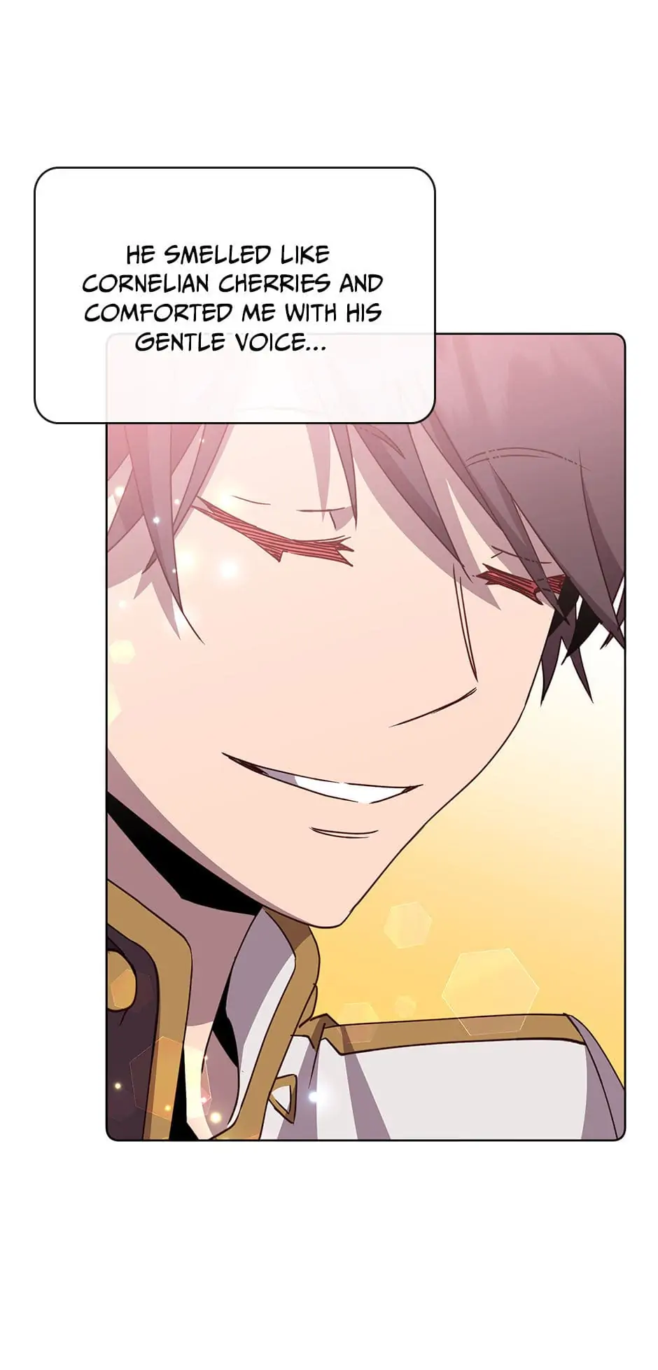 Read The Max Level Hero Strikes Back ENGLISH Manga Online