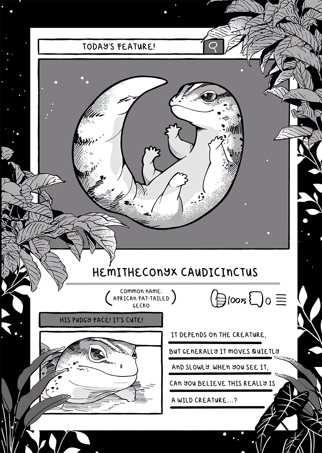 Read Tonari no Hachuurui-kun ENGLISH Manga Online