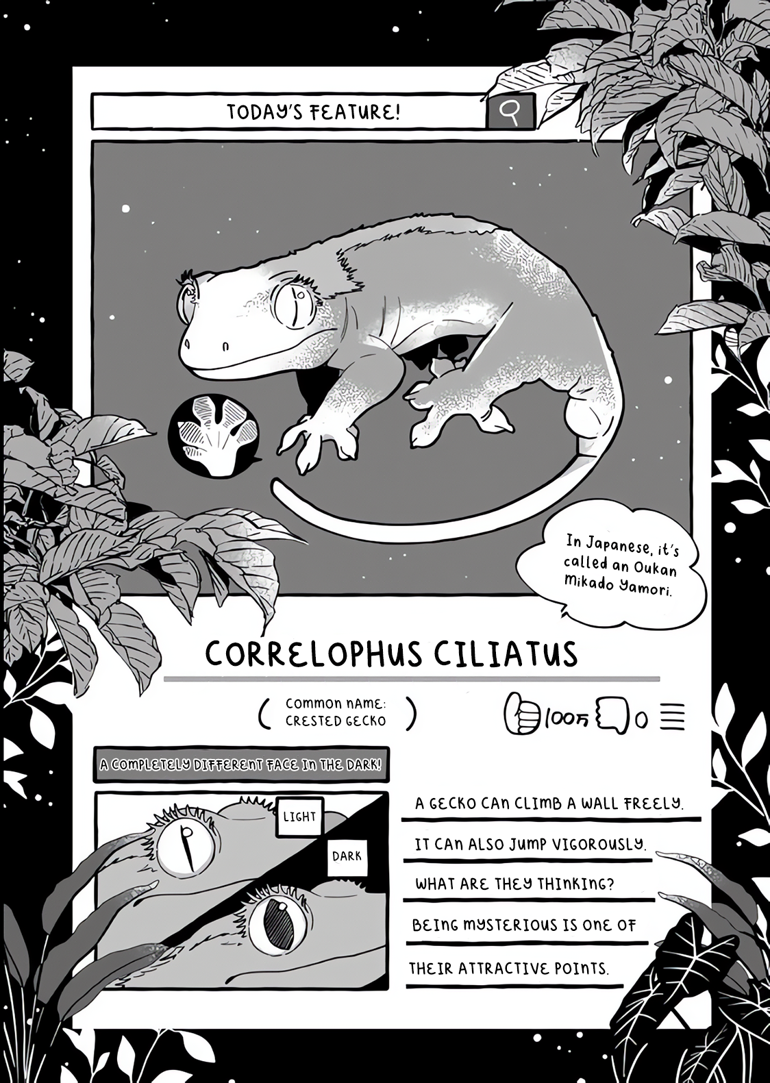 Read Tonari no Hachuurui-kun ENGLISH Manga Online