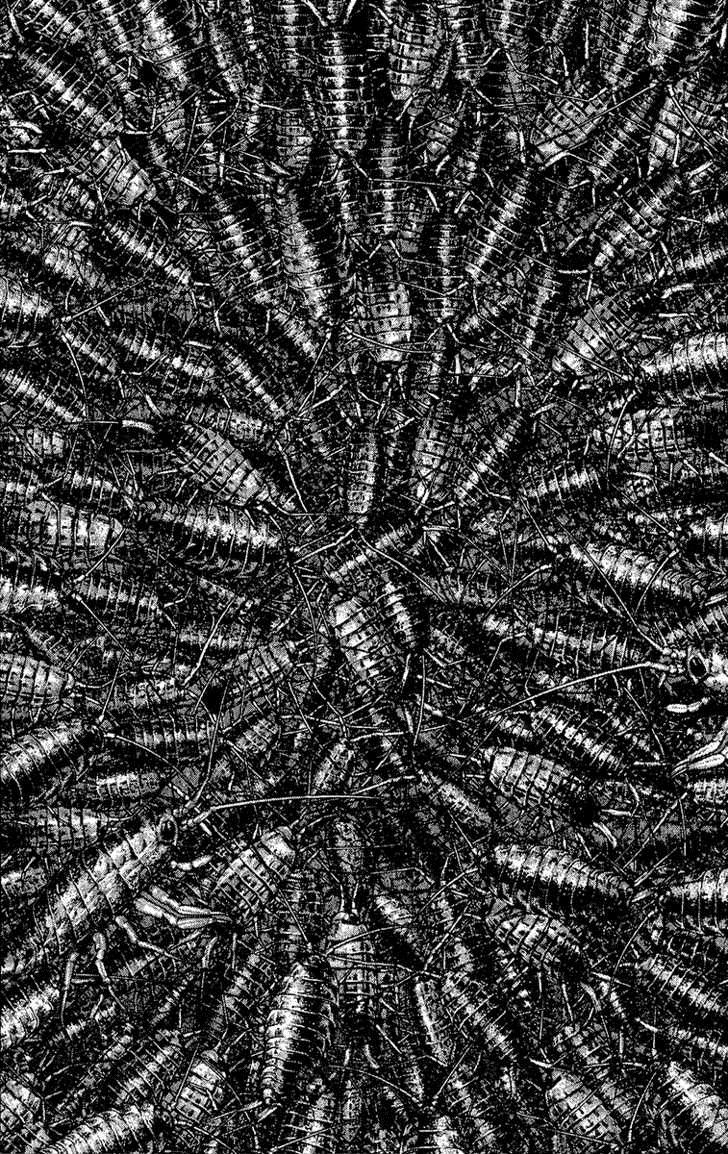 Read Ascension The Climber Español Manga Online