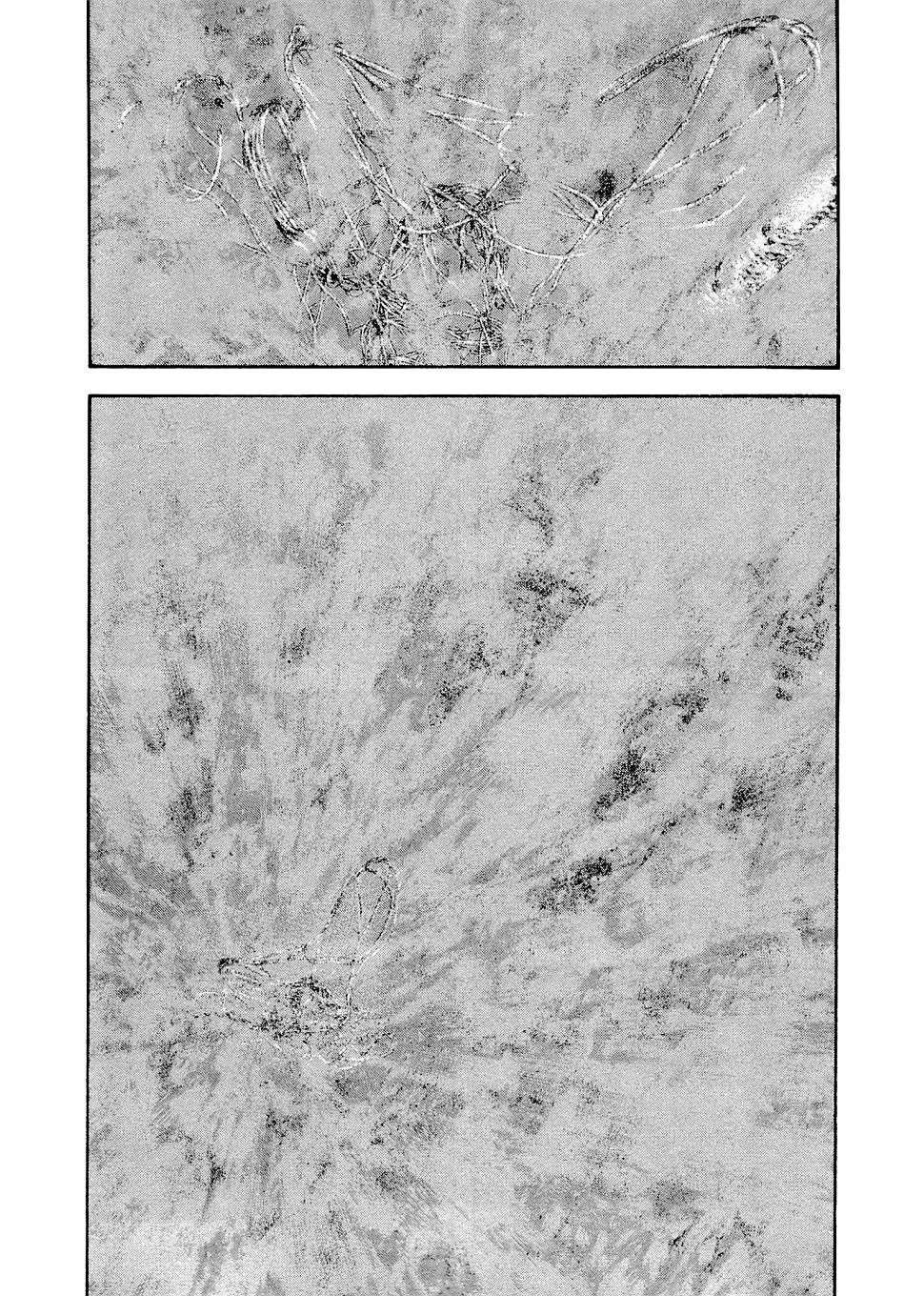 Read Ascension The Climber Español Manga Online