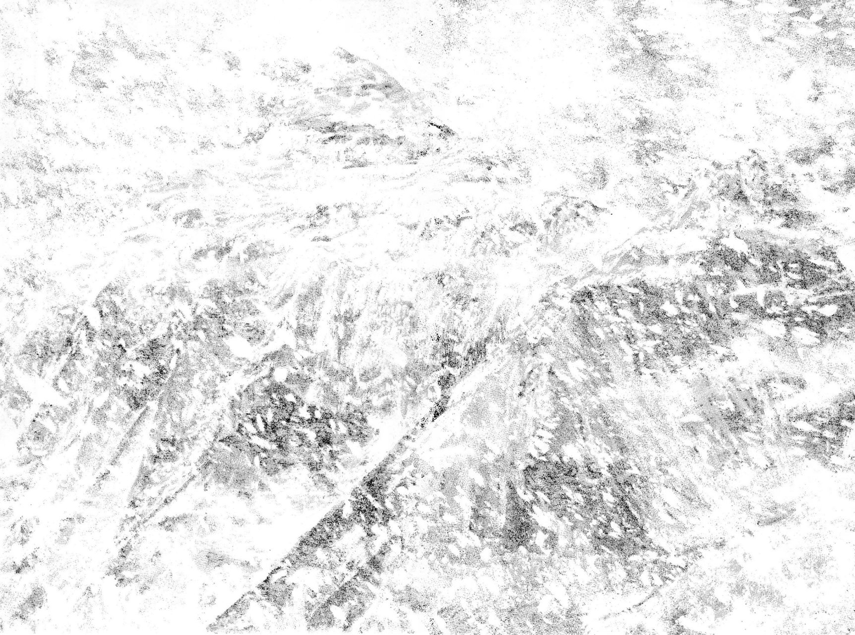 Read Ascension The Climber Español Manga Online