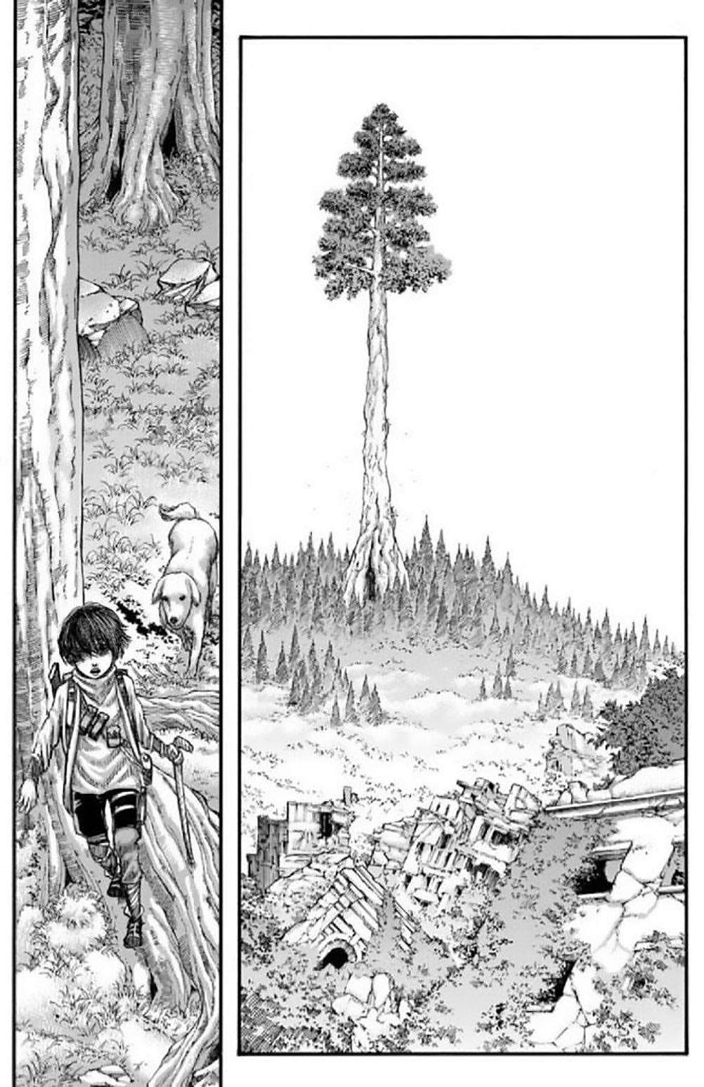 Read Attack on Titan Español Manga Online