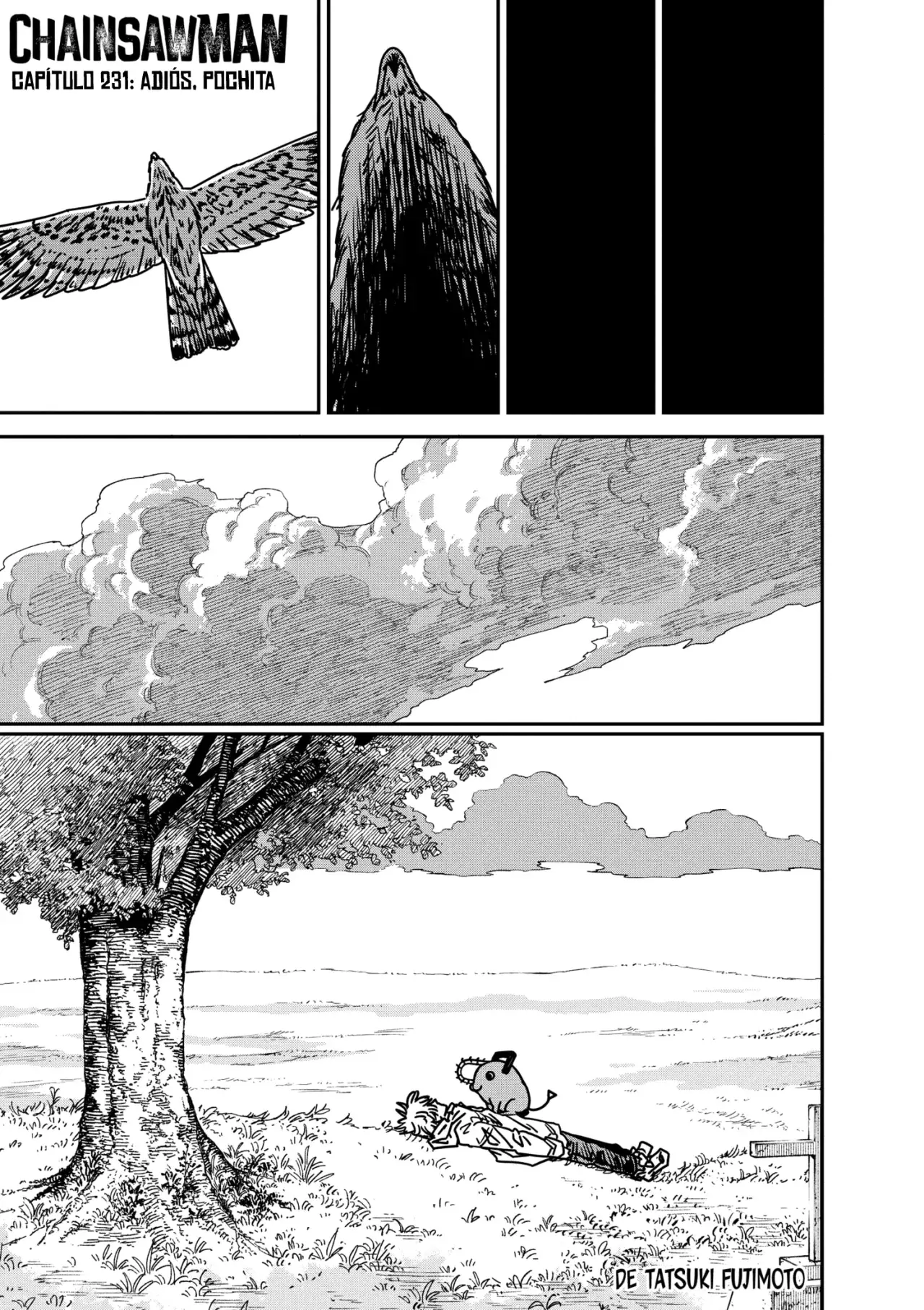 Read Chainsaw Man Español Manga Online