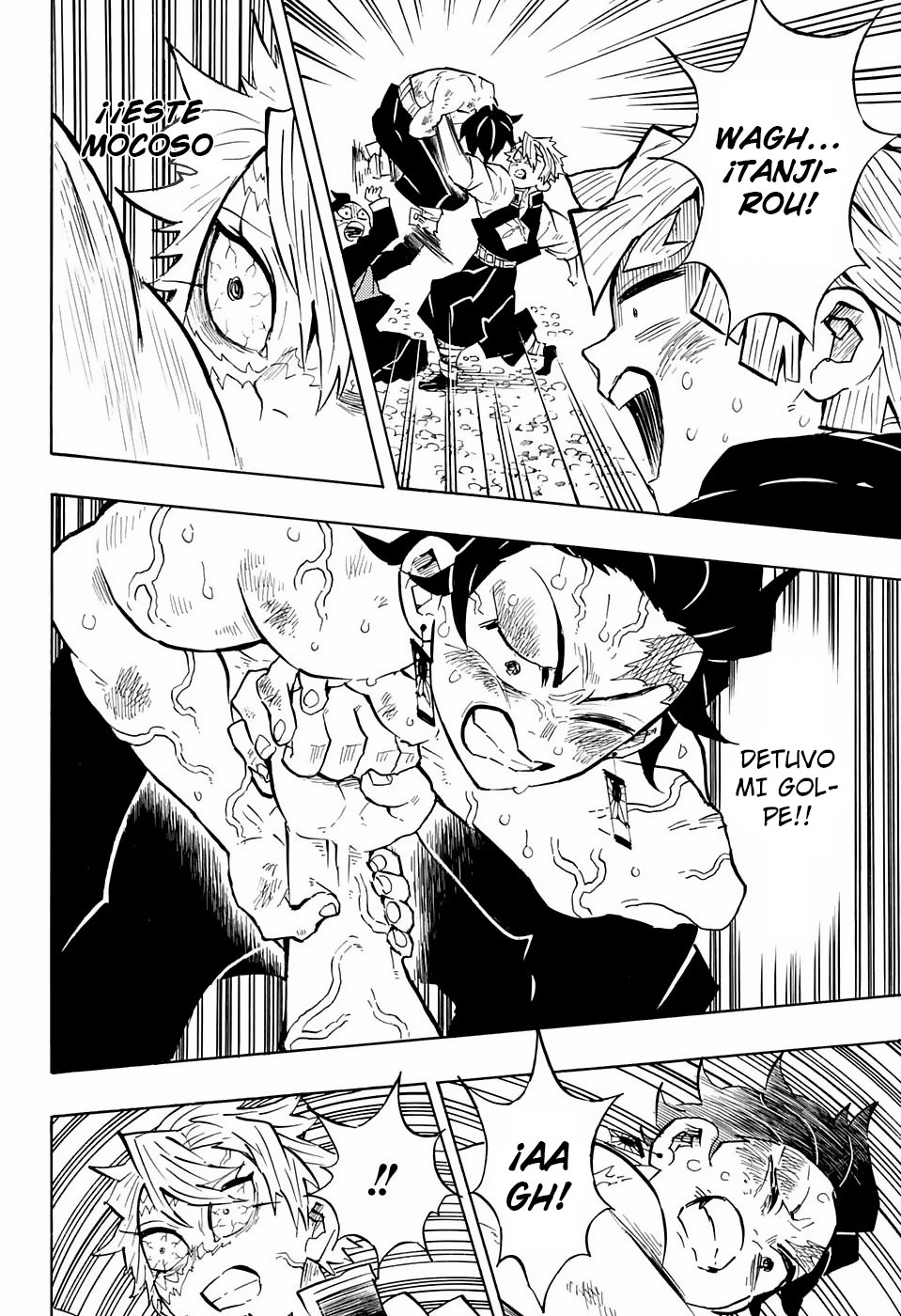 Read Demon Slayer_ Kimetsu no Yaiba Español Manga Online