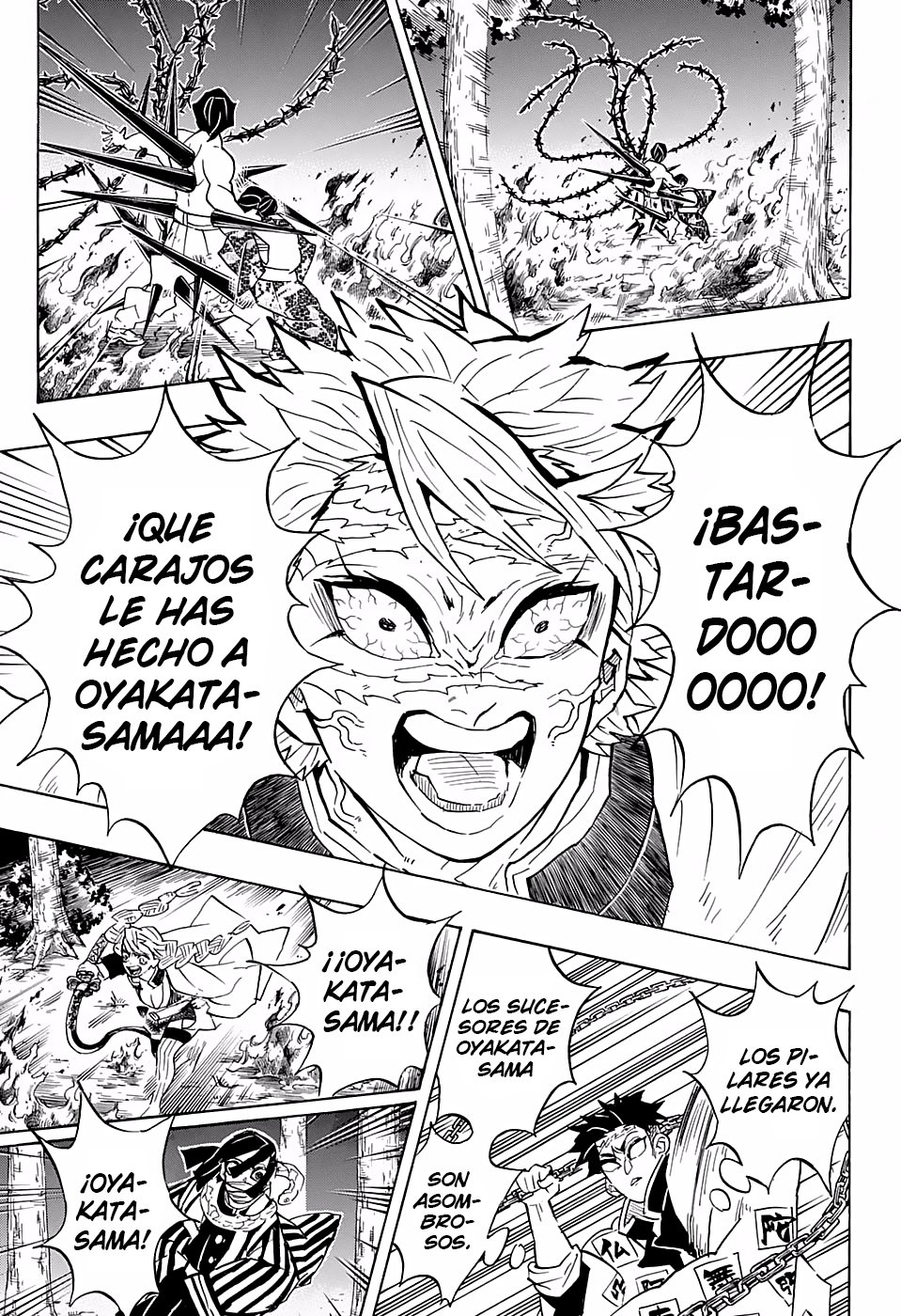 Read Demon Slayer_ Kimetsu no Yaiba Español Manga Online