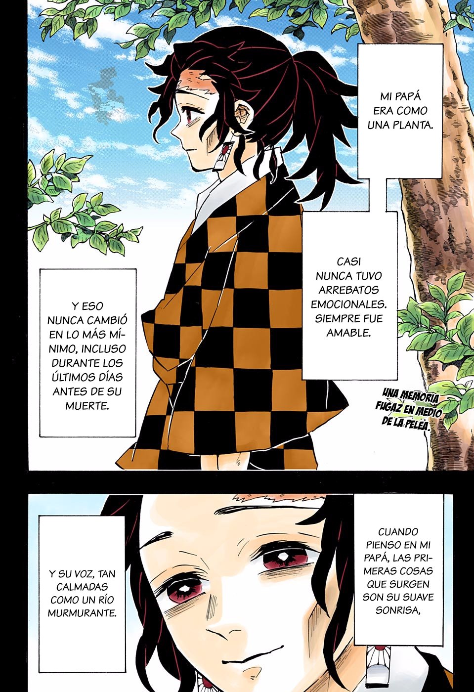 Read Demon Slayer_ Kimetsu no Yaiba Español Manga Online