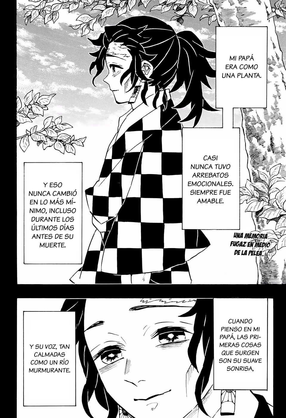 Read Demon Slayer_ Kimetsu no Yaiba Español Manga Online