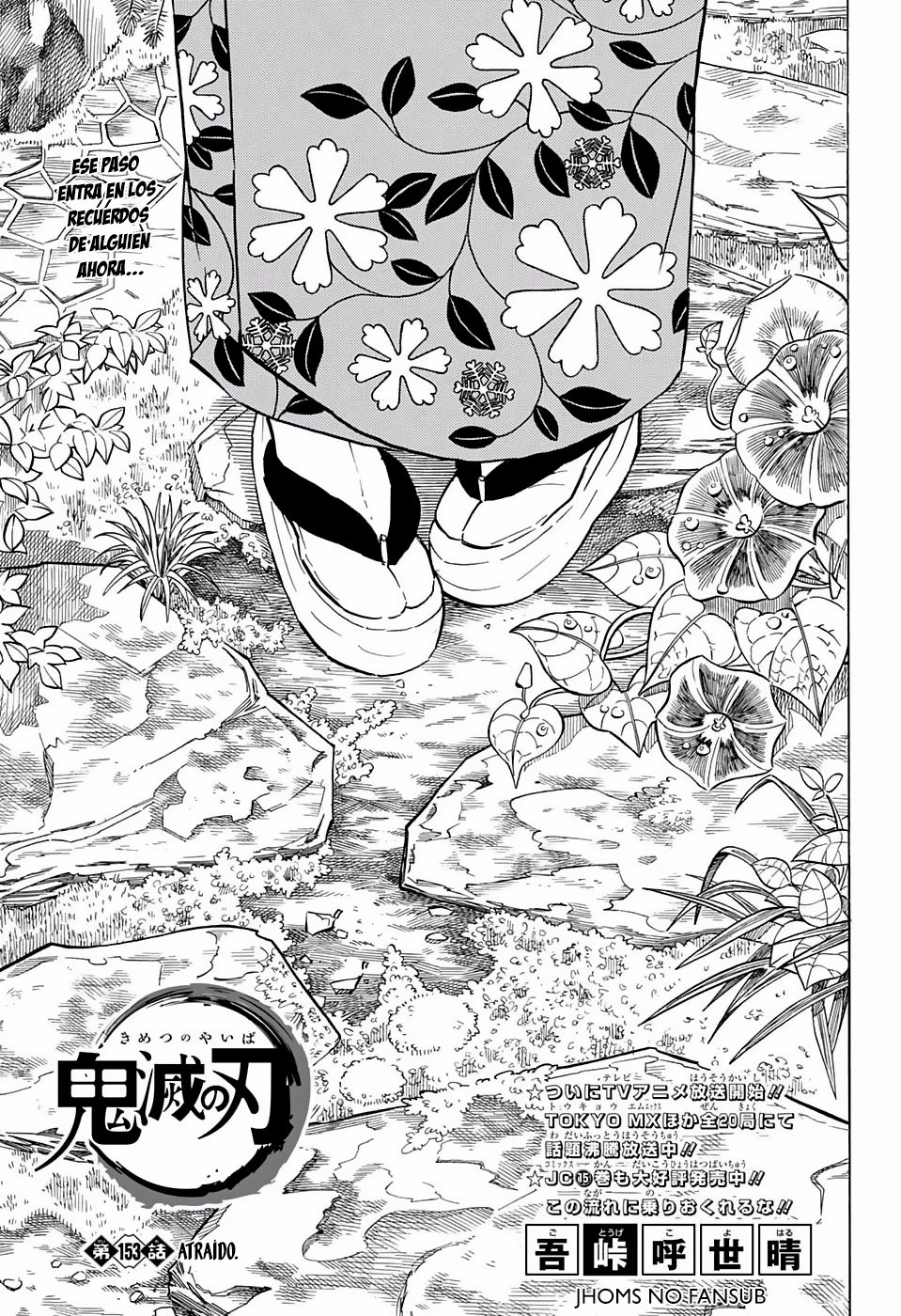 Read Demon Slayer_ Kimetsu no Yaiba Español Manga Online