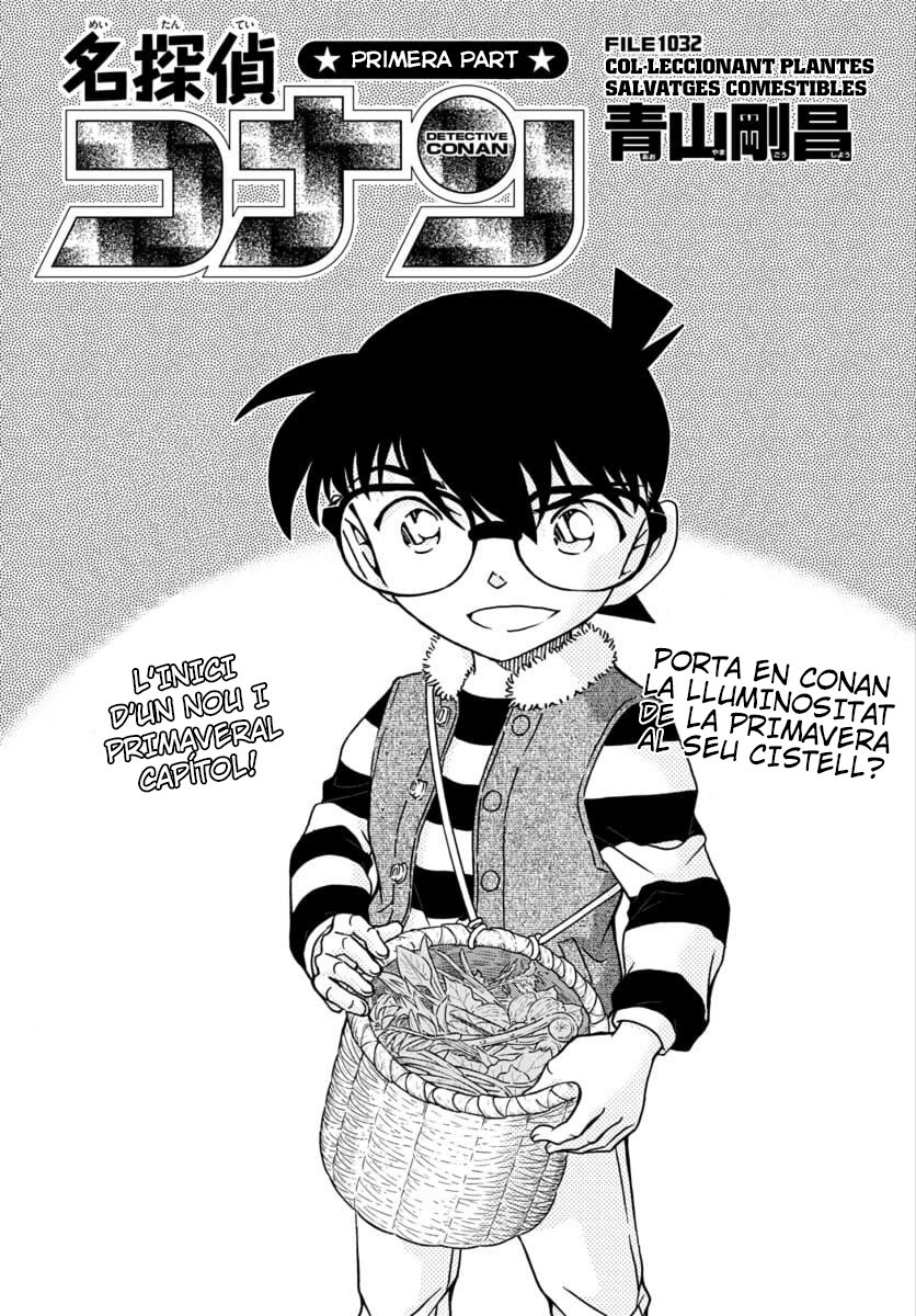 Read Detective Conan (Català) Español Manga Online