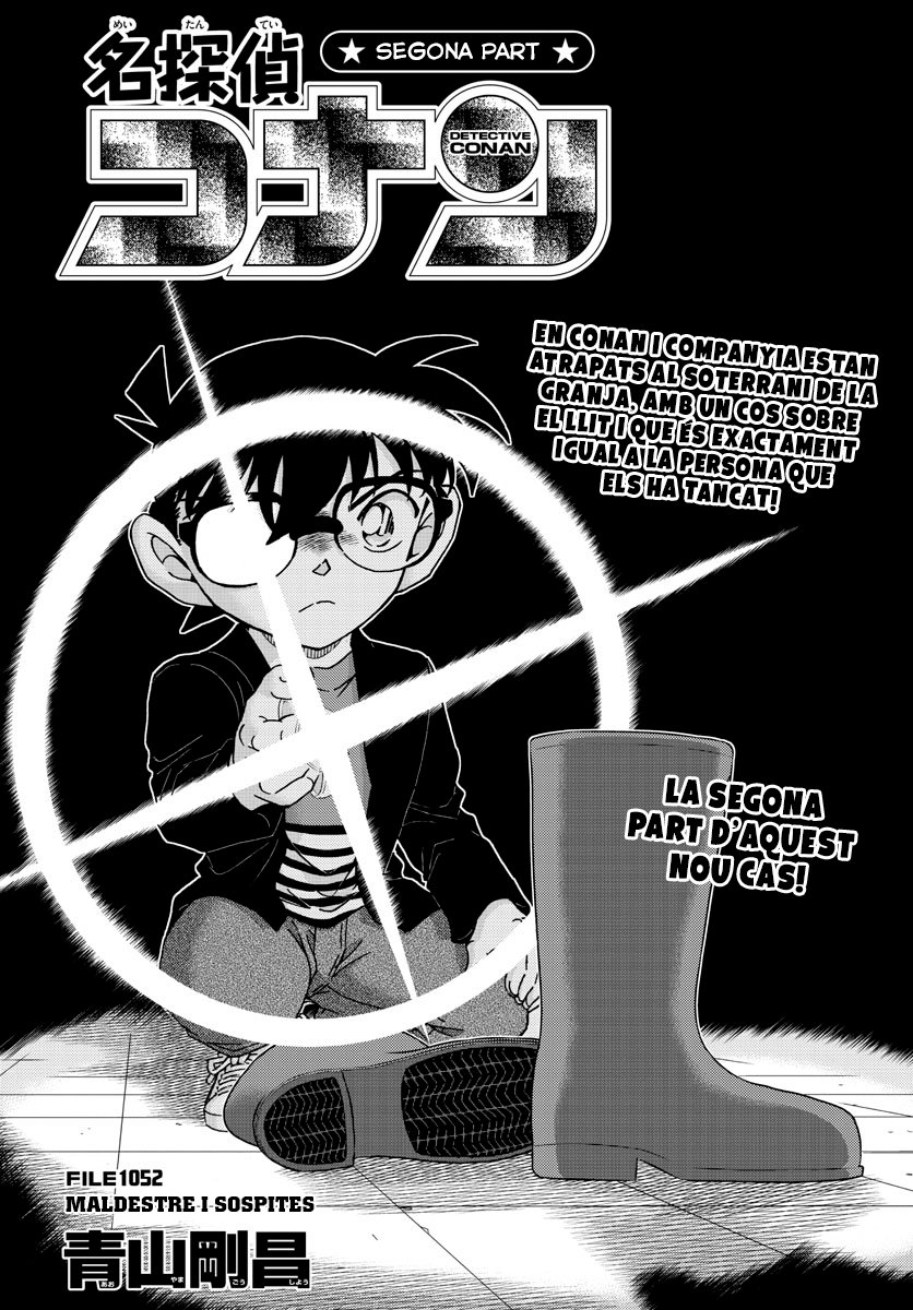 Read Detective Conan (Català) Español Manga Online