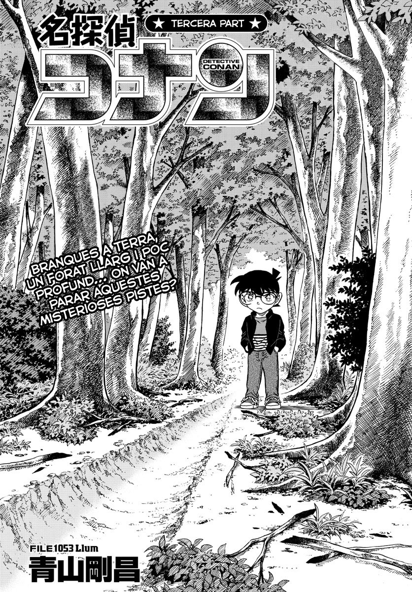 Read Detective Conan (Català) Español Manga Online