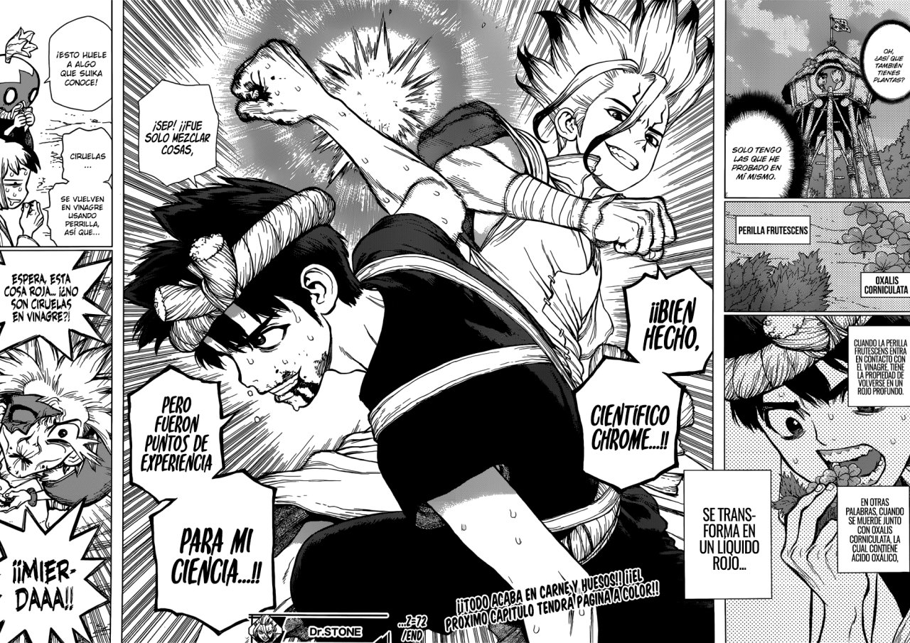 Read Dr. Stone Español Manga Online