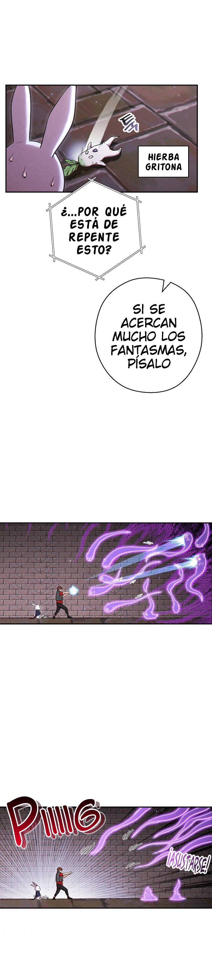 Read Dungeon Reset Español Manga Online