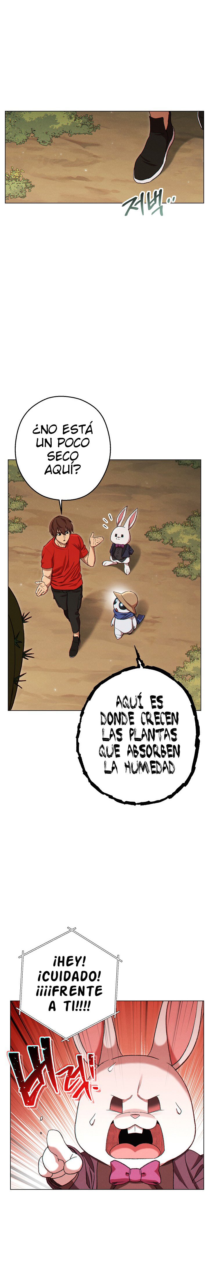 Read Dungeon Reset Español Manga Online