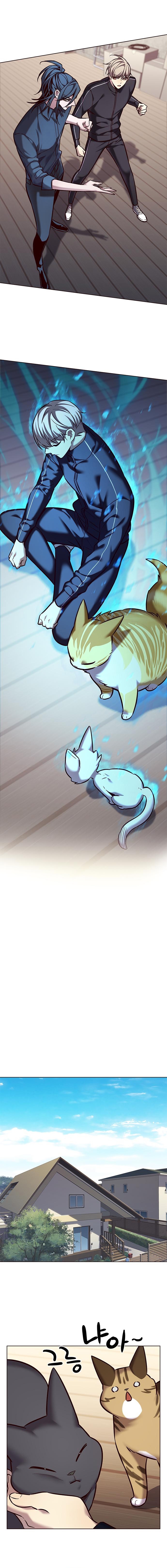 Read Eleceed Español Manga Online