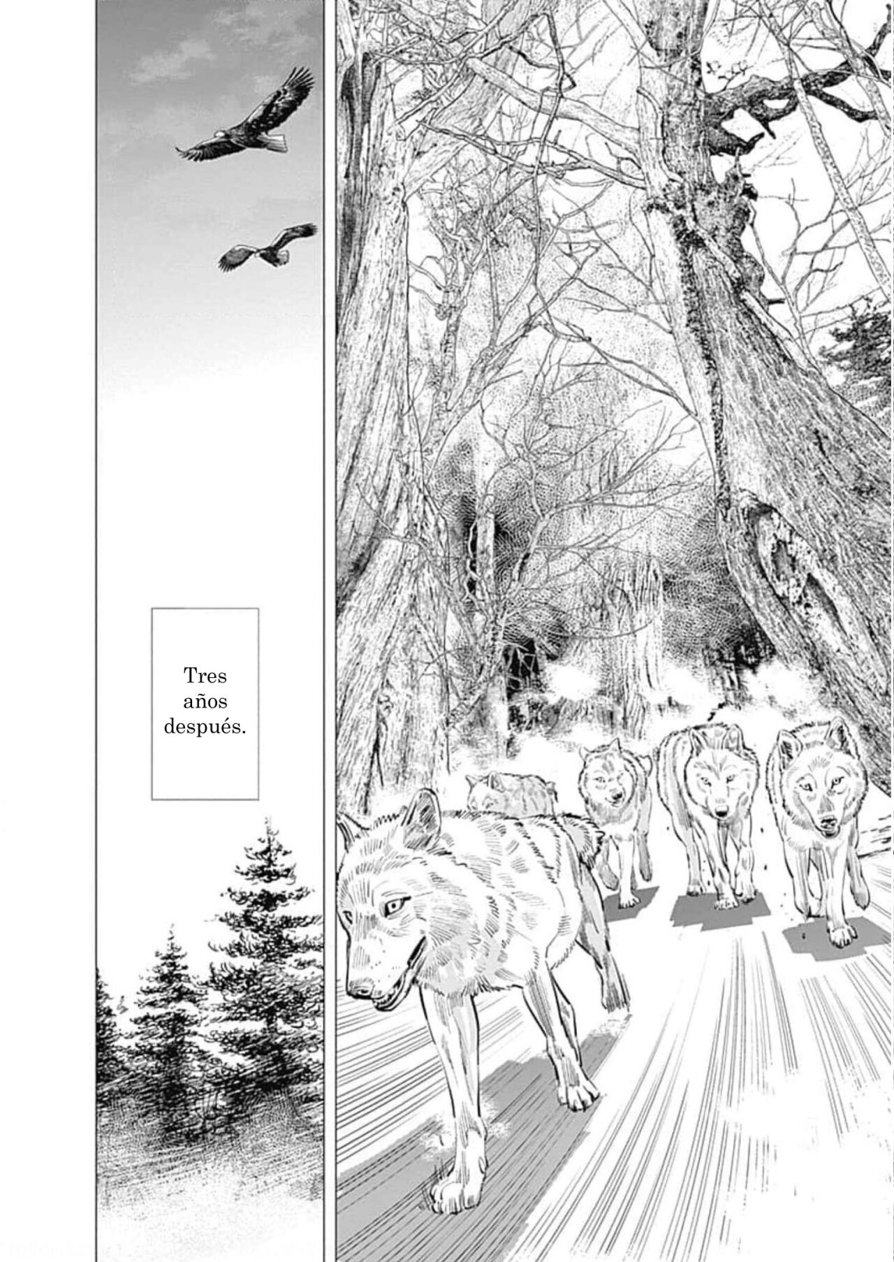 Read Golden Kamuy Español Manga Online