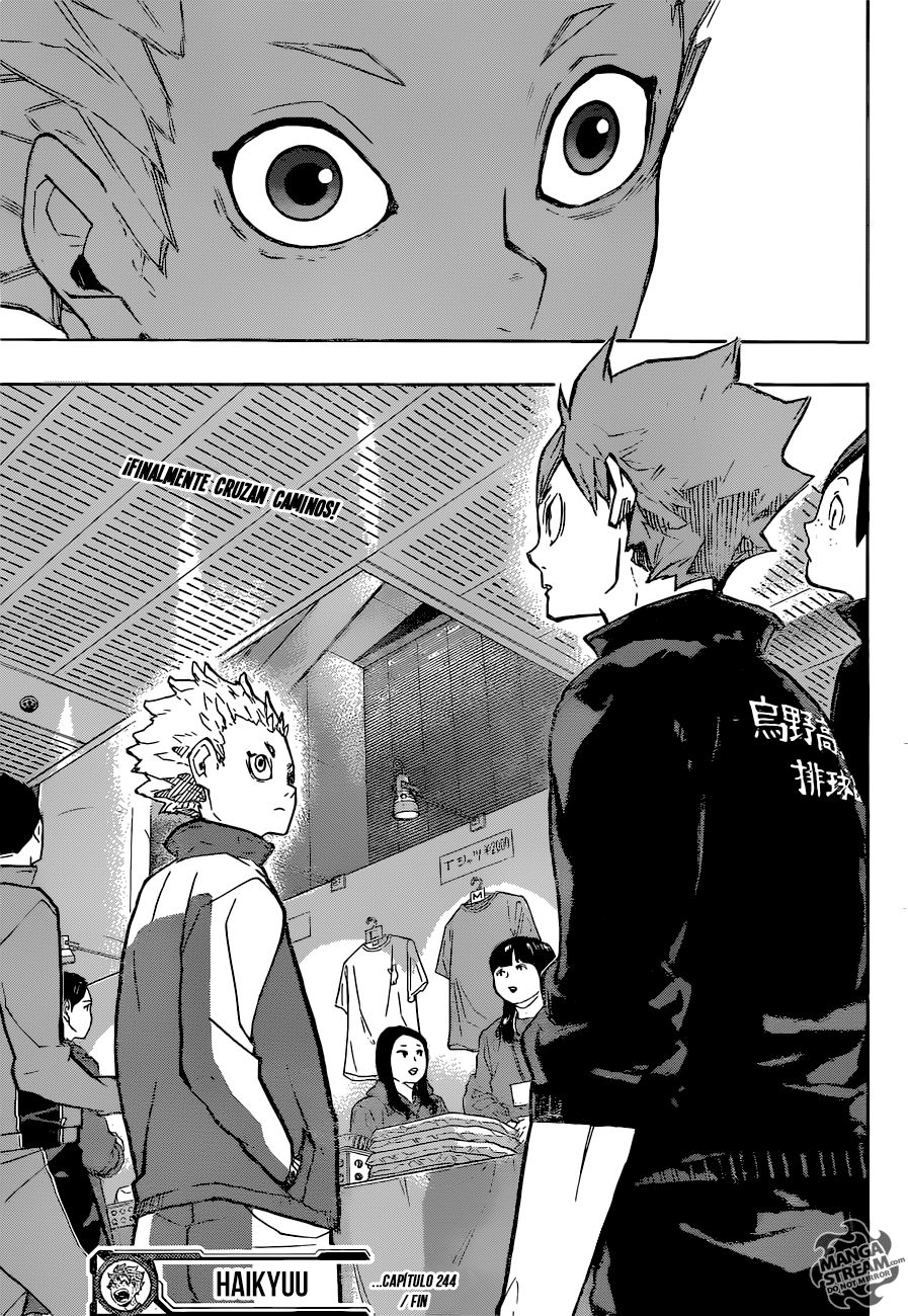 Read Haikyu!! Español Manga Online