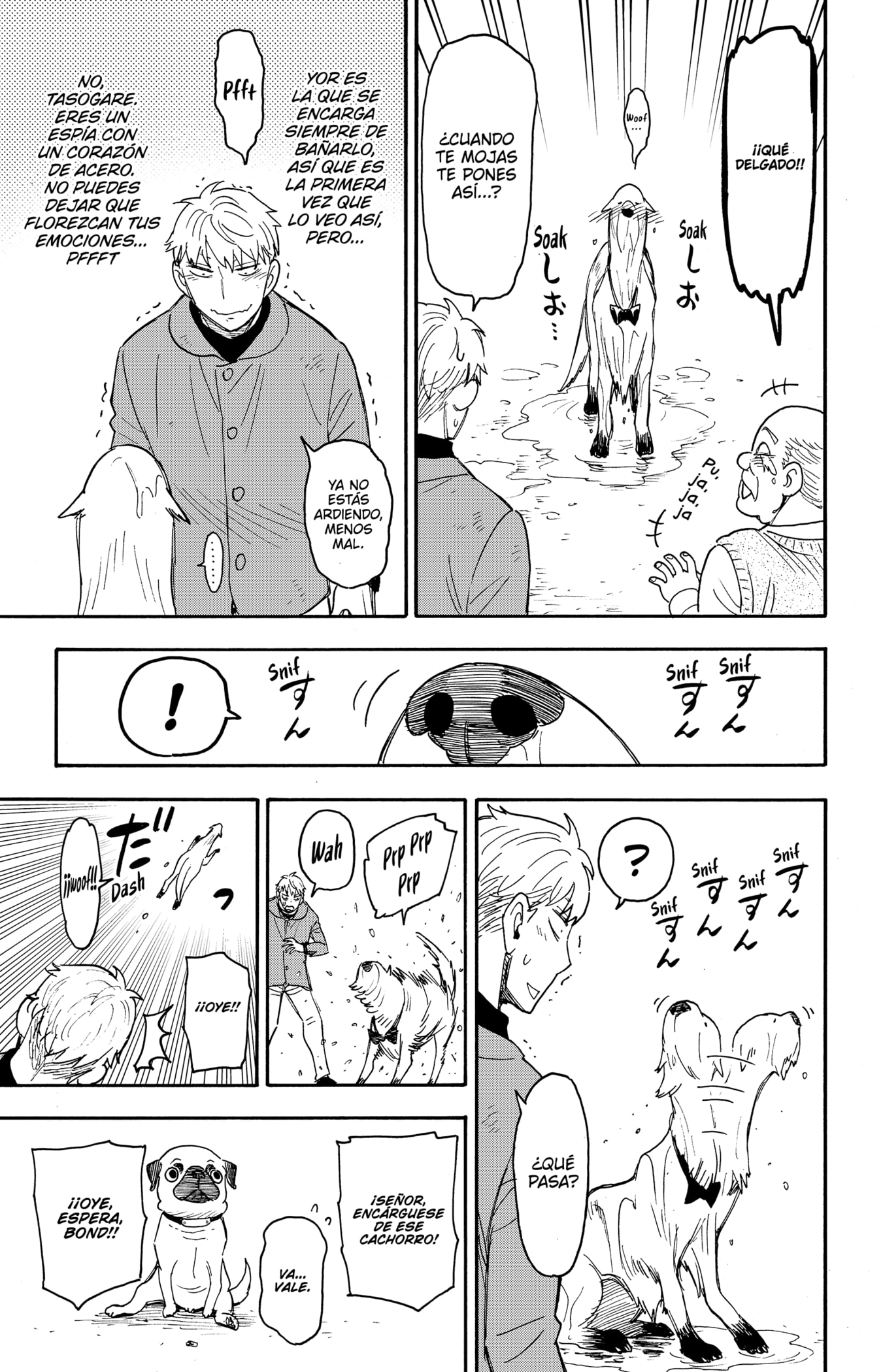 Read Spy X Family Español Manga Online