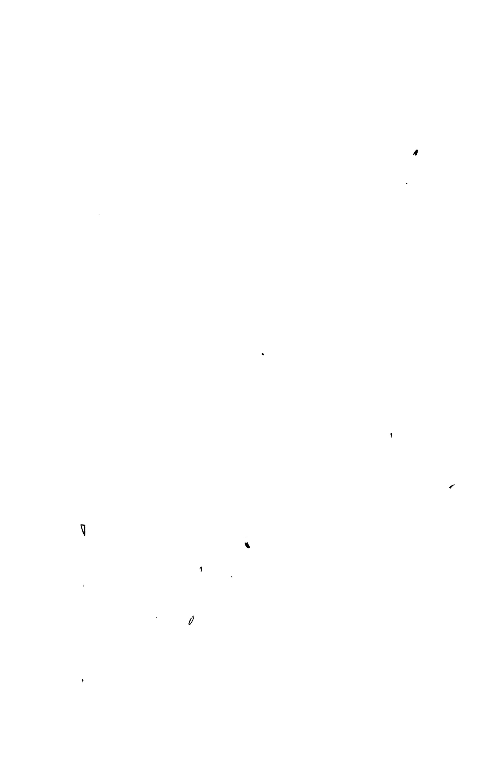 Read Spy X Family Español Manga Online