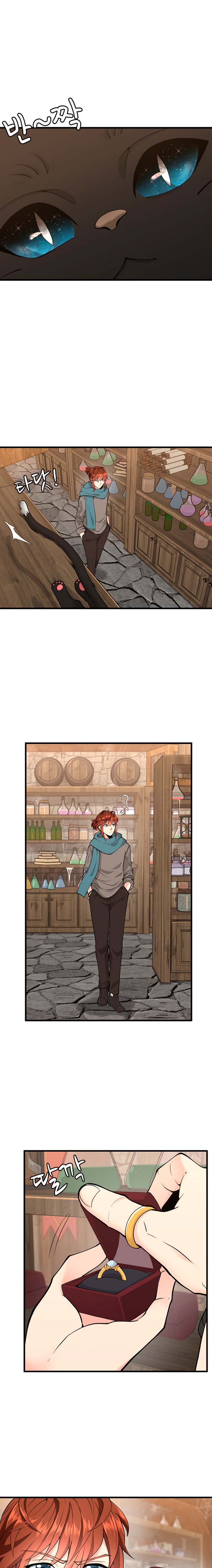 Read The Beginning After the End Español Manga Online